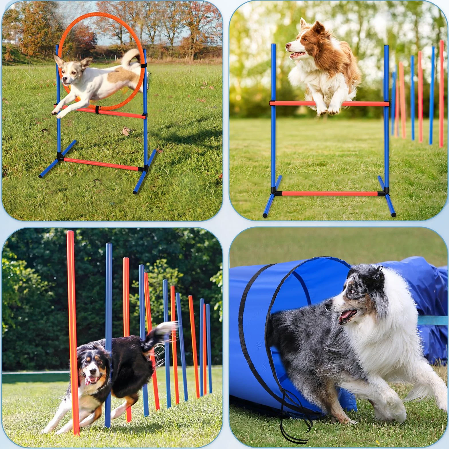Agility Chien équipement Obstacles Entrainement kit 70 pièces Tunnel Anneau Saut