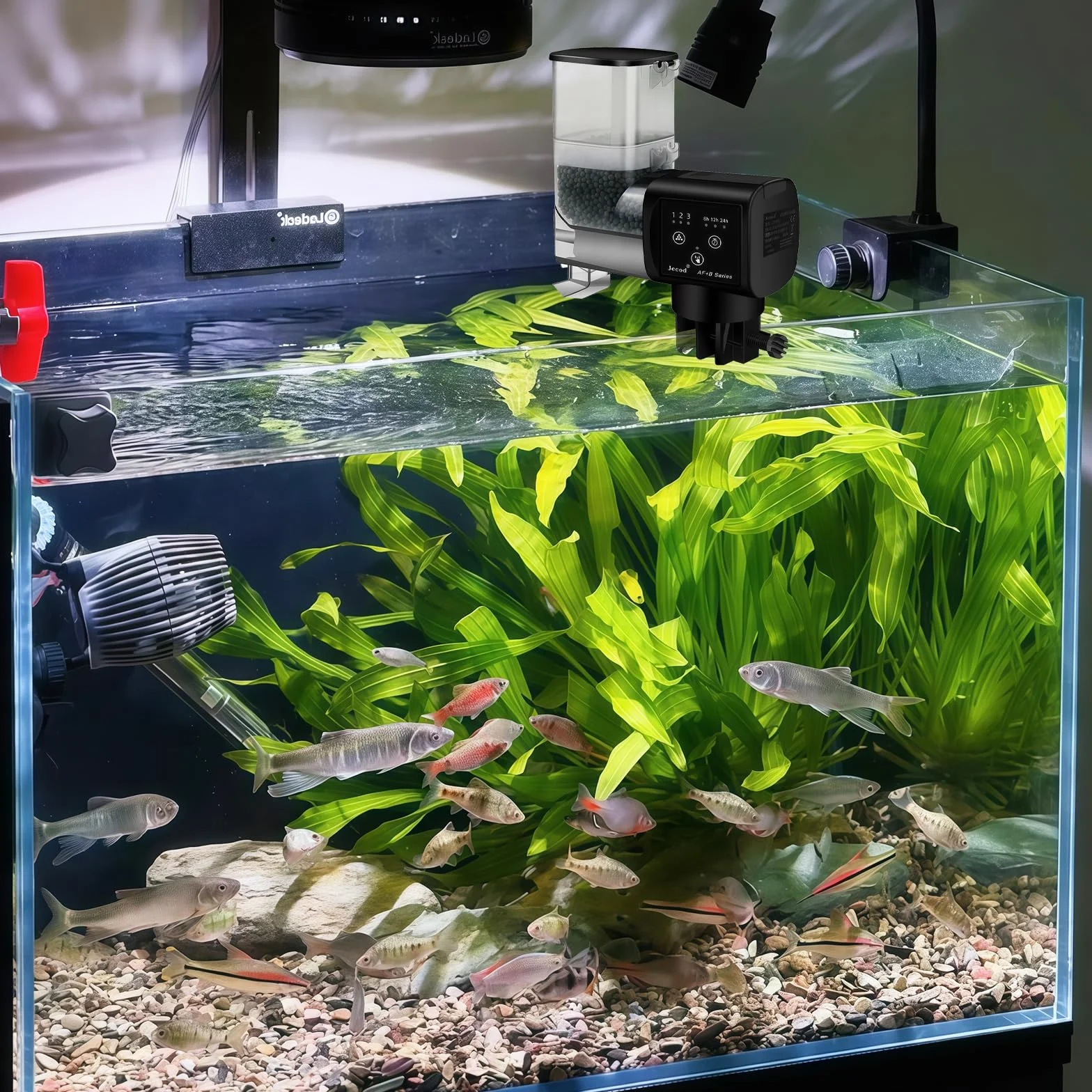 Distributeur automatique de nourriture pour aquarium Sporgo 250 ml réglable
