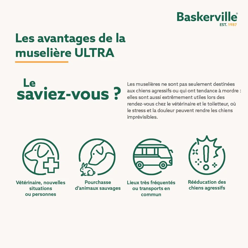 THE COMPANY OF ANIMA Baskerville Ultra Muselière pour Chien Noir 5 Retriever