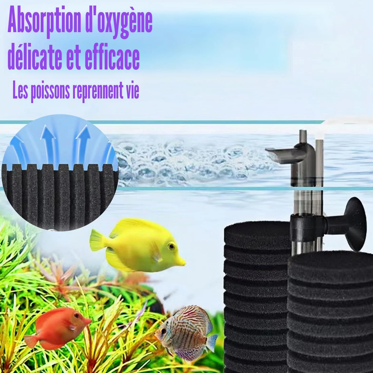 Filtre Éponge d'Aquarium avec Pompe, Filtre Interne, Double Filtre Éponge Réglable pour Aquariums