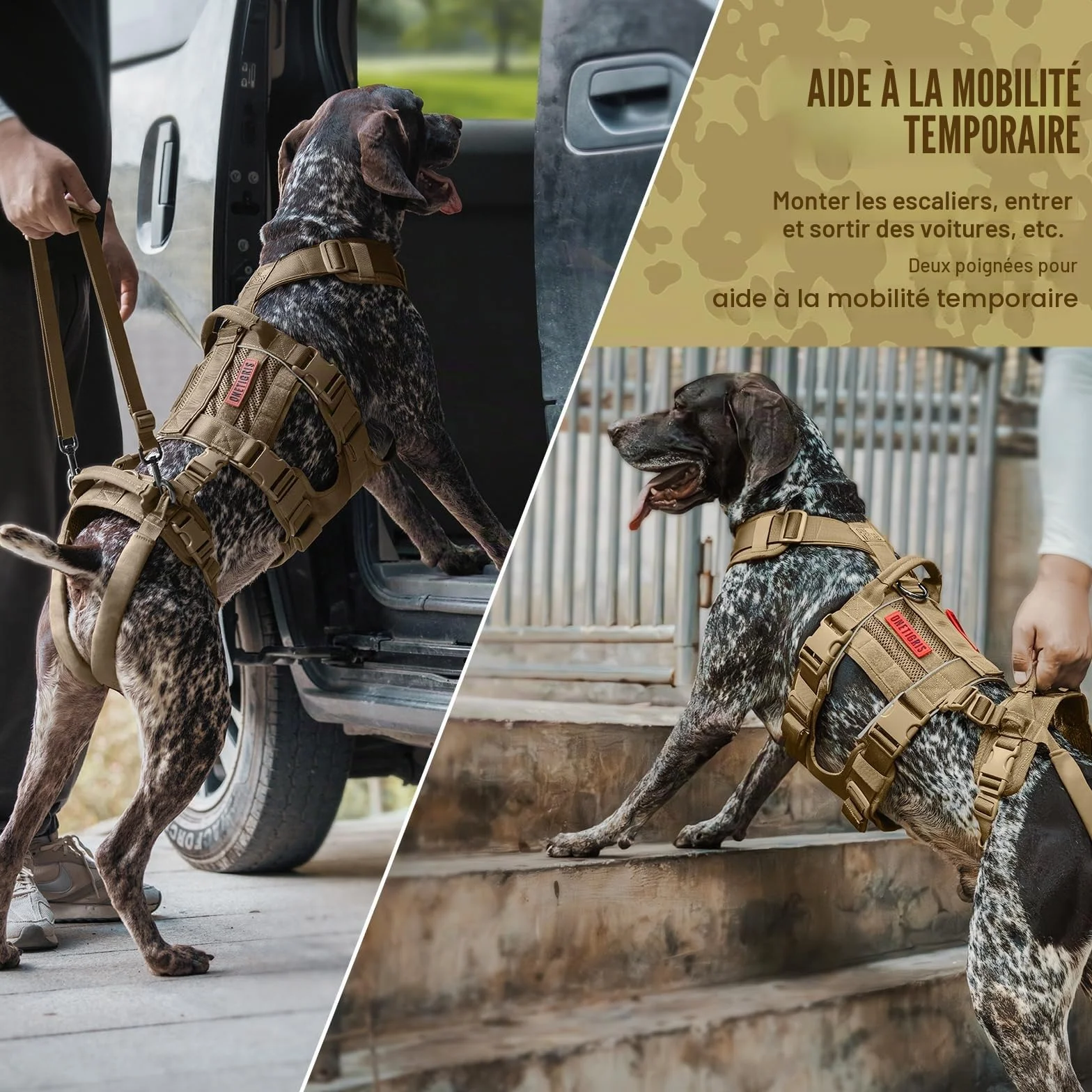 OneTigris SKYEWALKER Harnais pour chien réglable, soutien rééducation, taille moyenne et grande, marron, XL