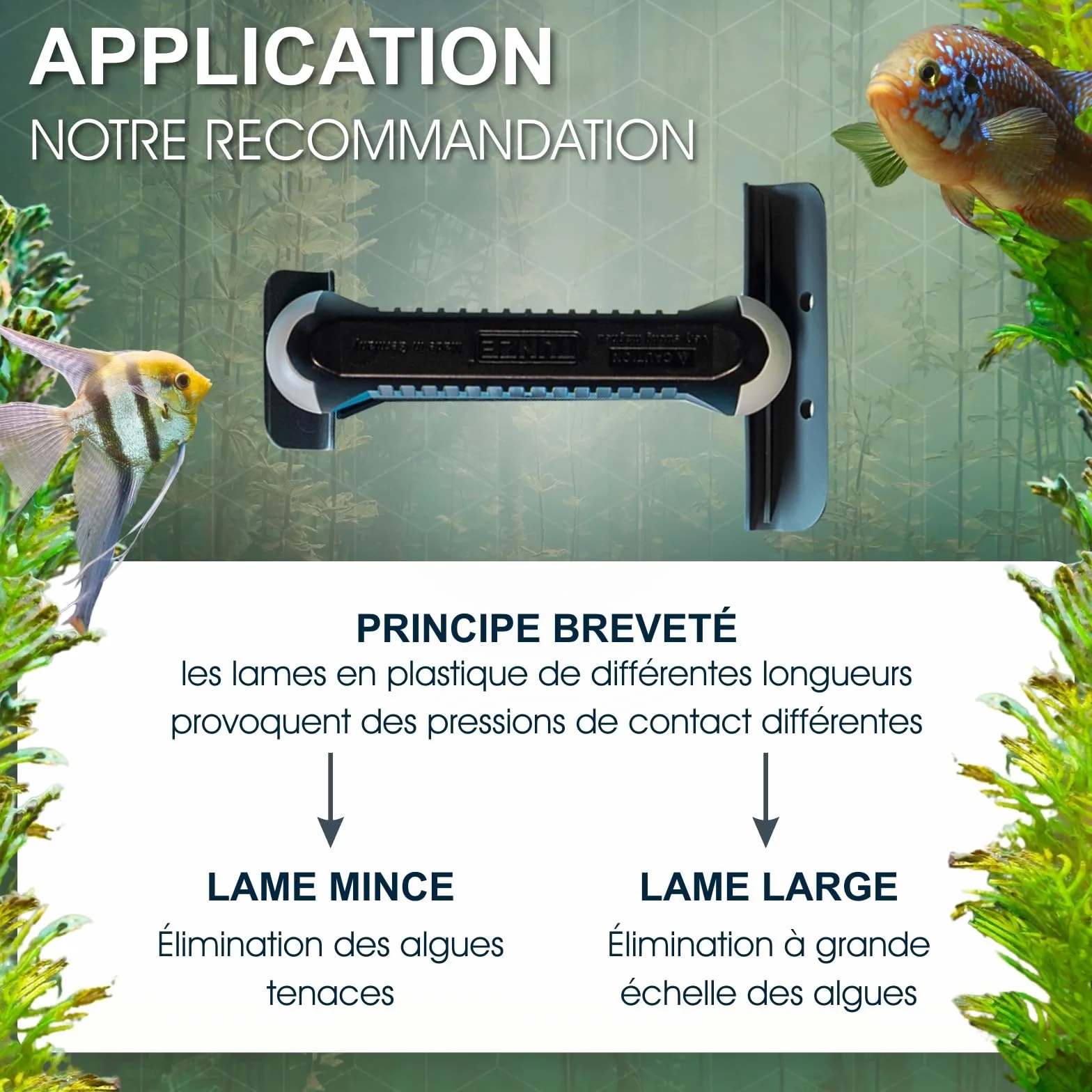 Tunze Care Magnet Strong+ Aquarienreiniger 20-25 mm Glasstärke Scheibenreiniger Edelstahlklinge Algenmagnet