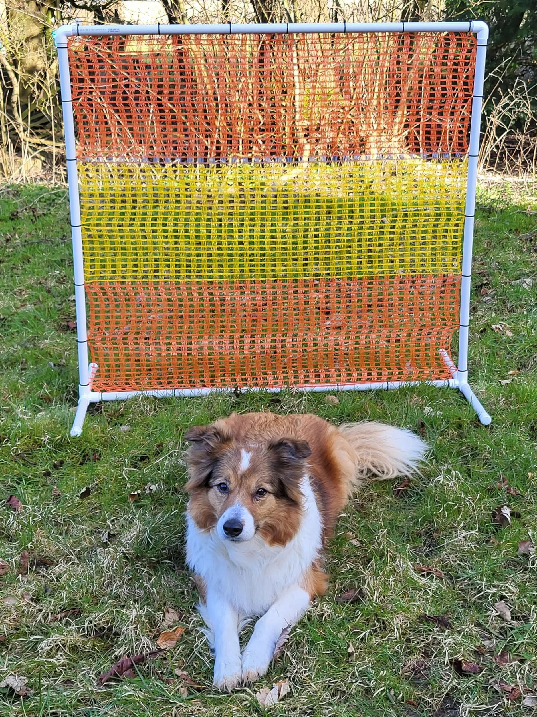NADAC HOOPERS Lot de 2 clôtures d'agilité en PVC Conforme VDH Jaune/Orange 1,05 m x 1,15 m x 1,15 m 1,4 kg