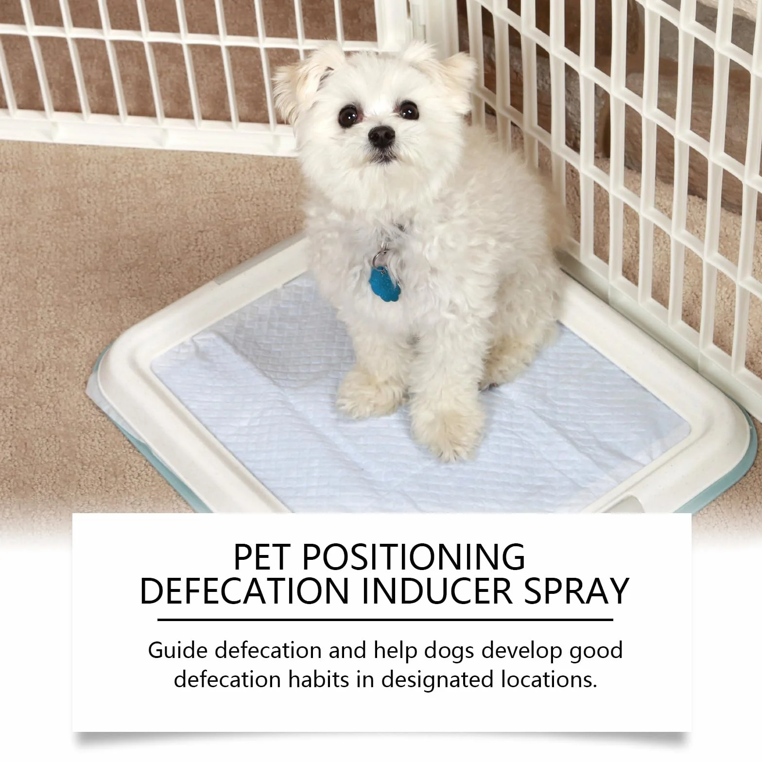 Spray Entraînement à la Propreté pour Chiens 50ML