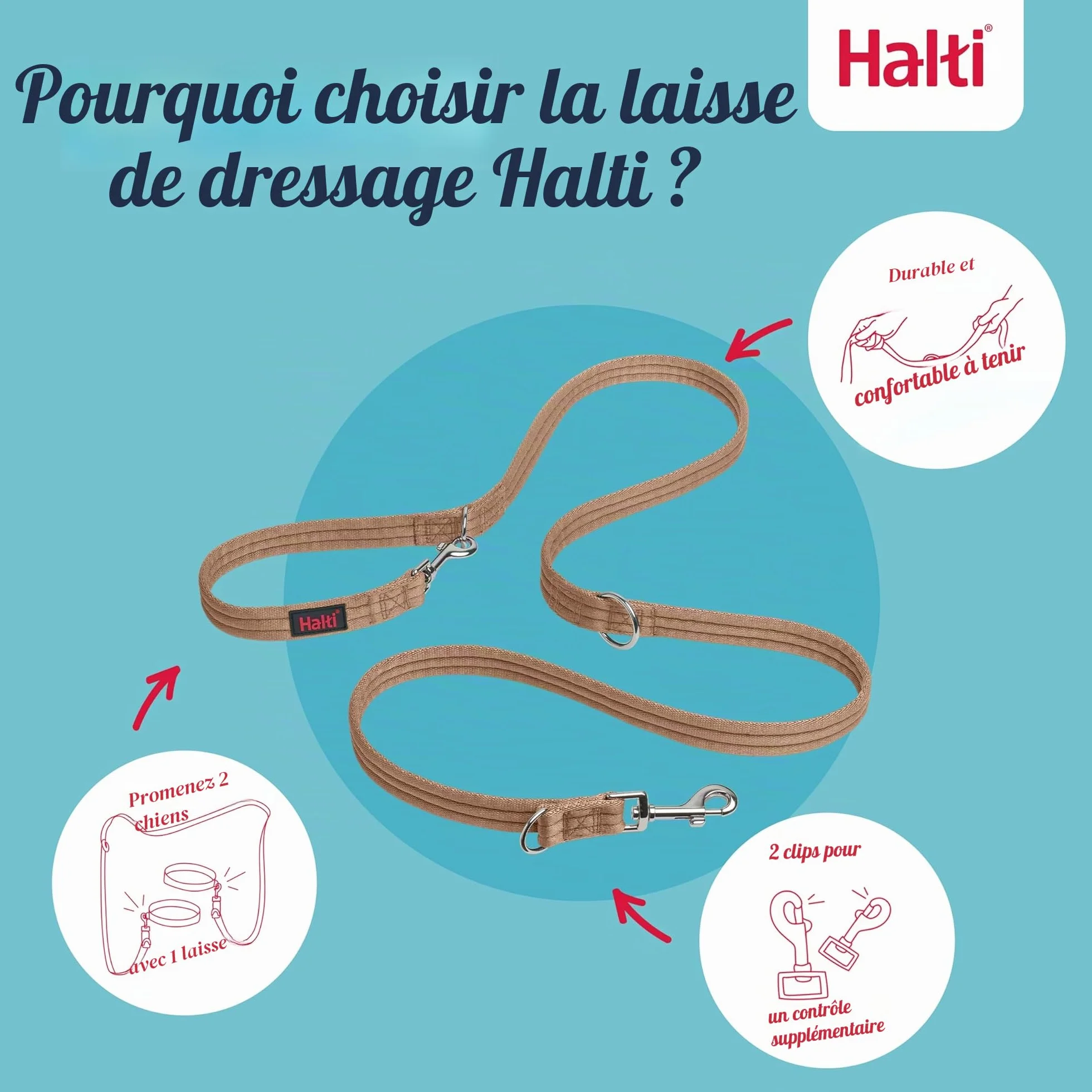 Laisse éducative HALTI - 7 Fonctions Conçues pour Vous Aider a Éduquer et Promener Votre Chien, Laisse de Dressage de Chien à Double Extrémité pour Chiens et Chiots (Taille L, Sable du Désert, 2m)