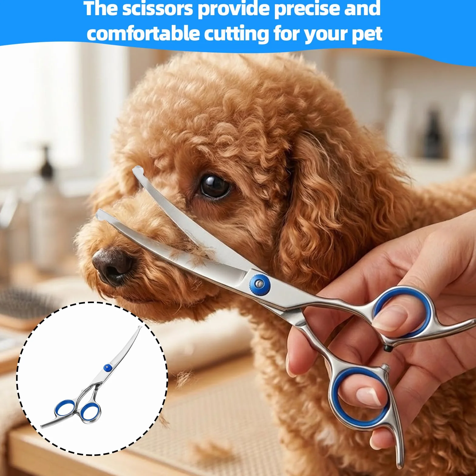 Ciseaux de Toilettage Chien Courbés Professionnels | Idéal pour Finitions Précises Visage et Pattes | Sécurité Maximale avec Pointes Arrondies | Acier Inoxydable 17cm