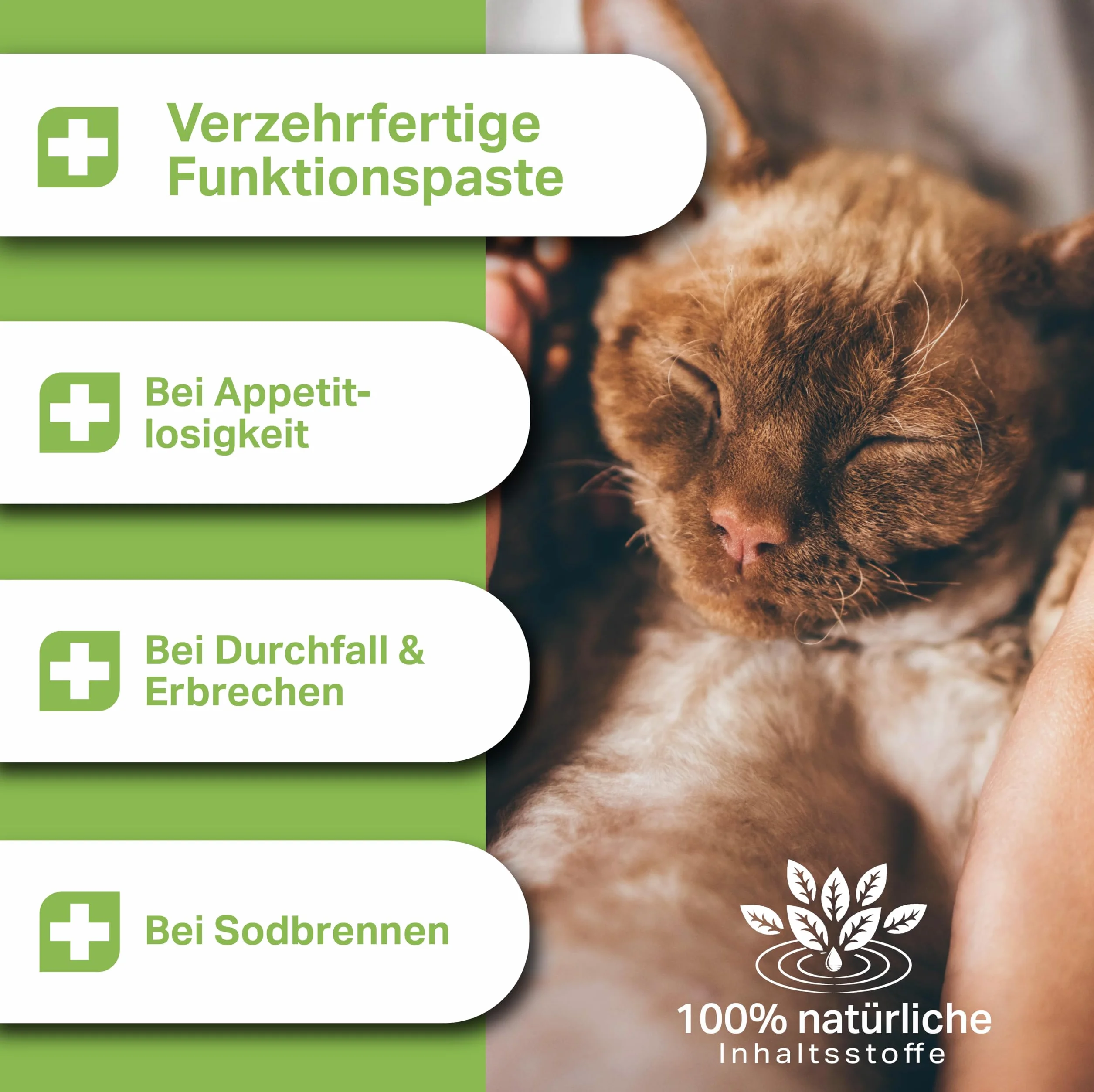 Pâte d'écorce d'orme premium 200 g pour chats brûlures d'estomac diarrhée vomissements