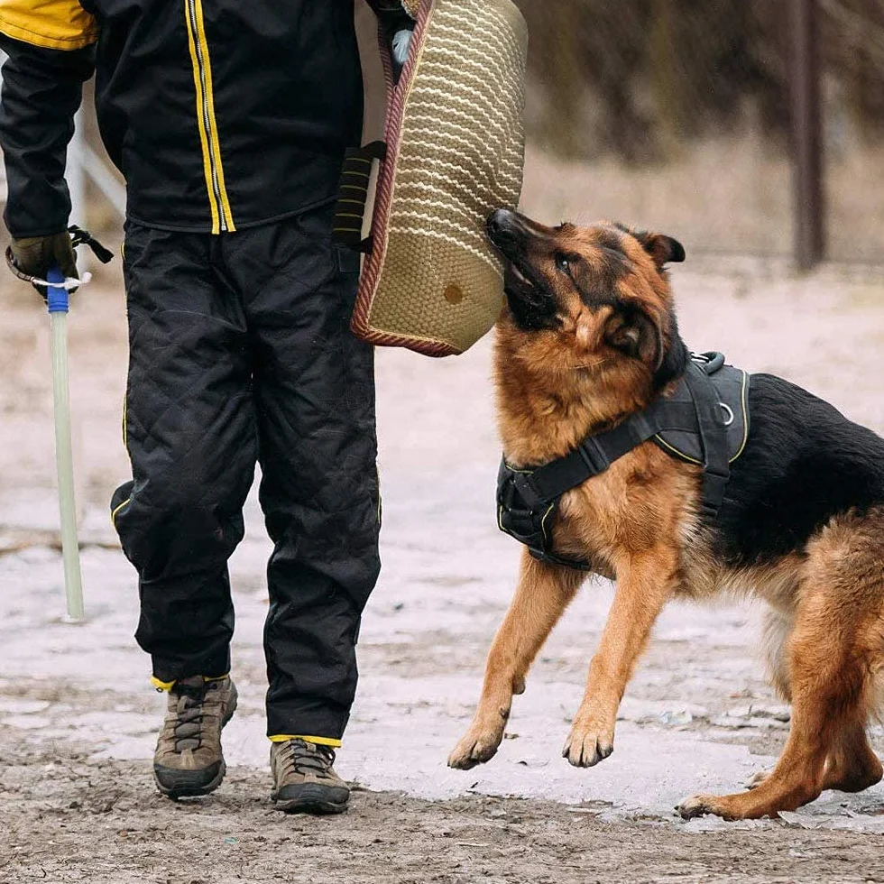 PetGens Manche de Protection Anti Morsure pour Chien Chiot