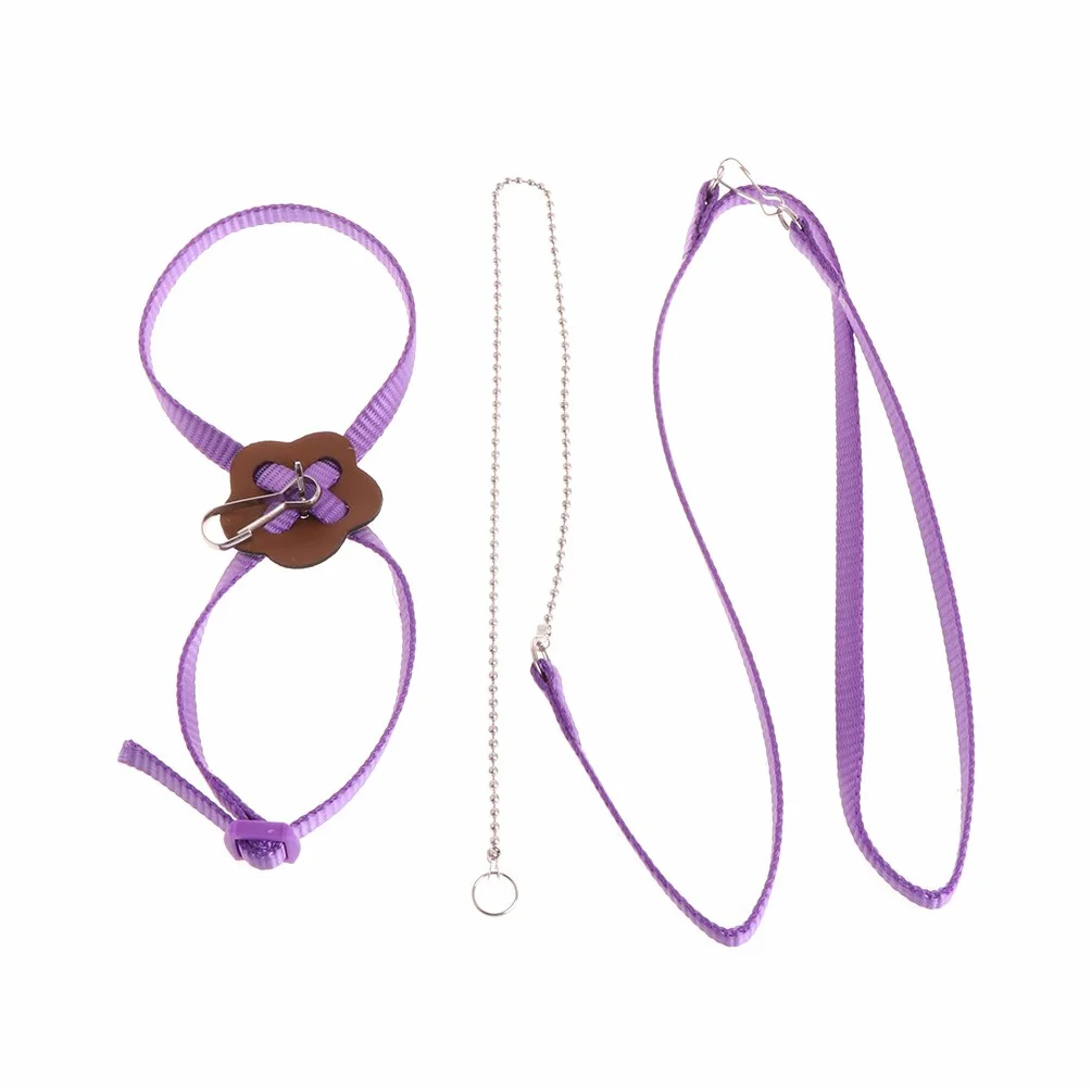 Harnais pour perroquet en nylon réglable anti-morsure pour petits oiseaux canaris conures