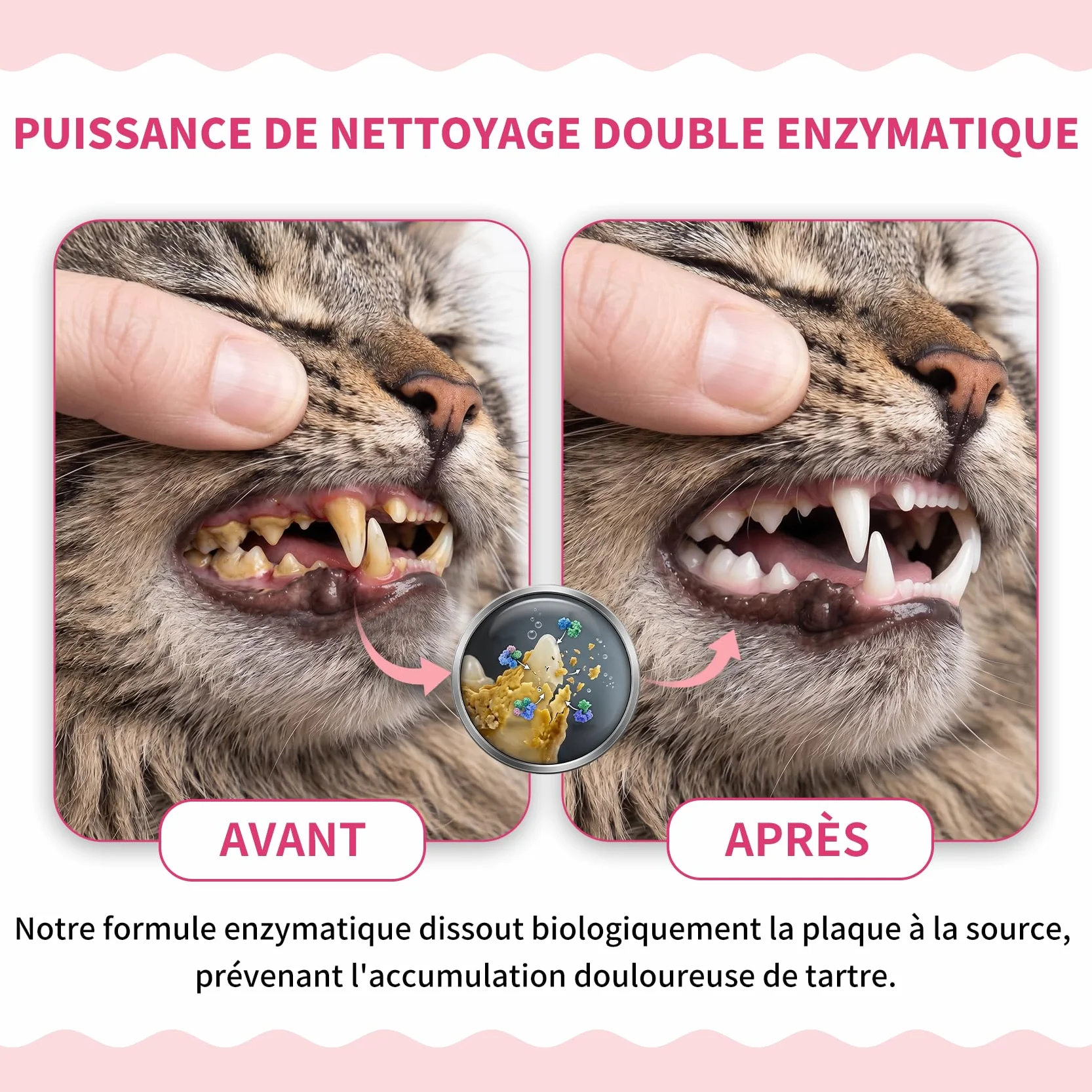 Dentifrice Enzymatique pour Chats - Kit Dentaire 30g
