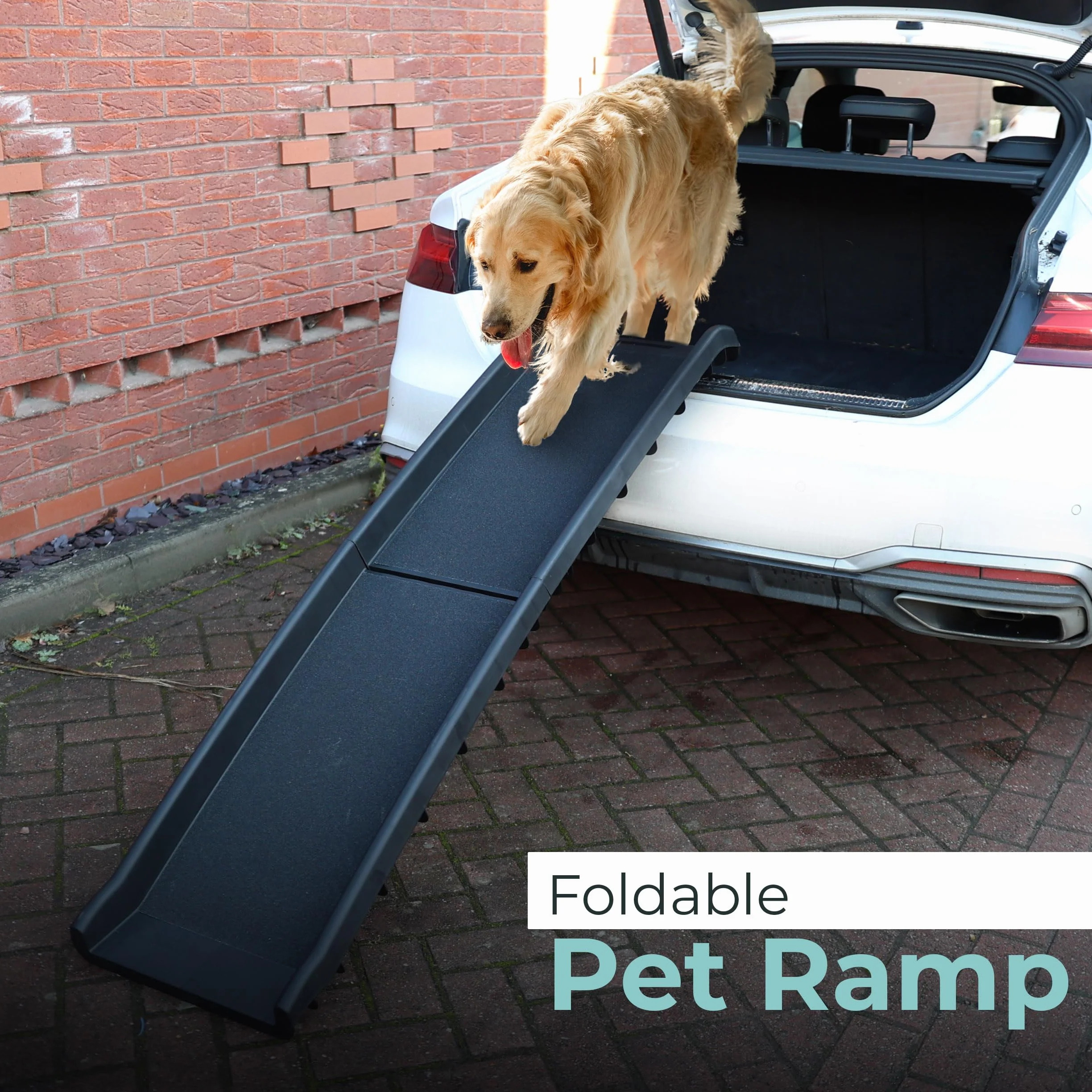 DIVCHI Rampe antidérapante pour Chien Rampes légères et Portables en Plastique Pliable (Noir)