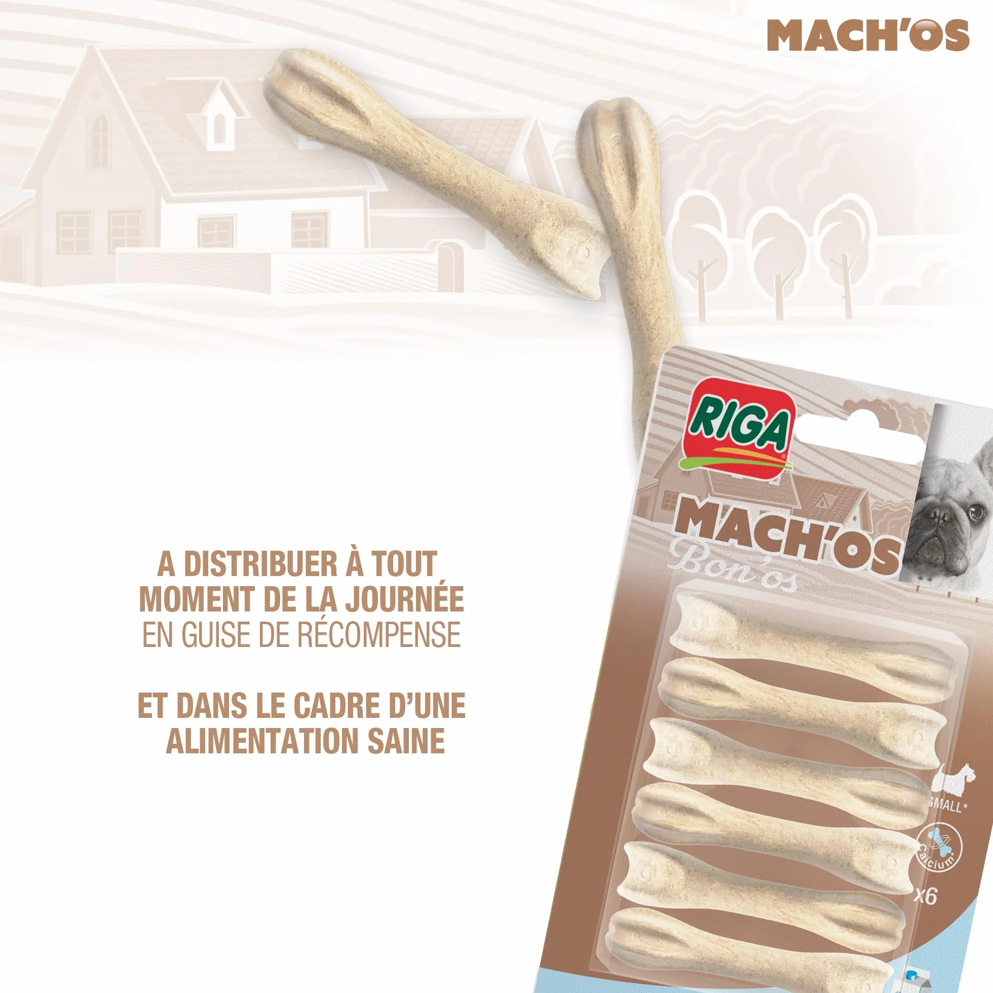 RIGA Mach'os Bon'os pour Chien S - Riche en Protéines et Calcium - Hygiène Buccale - Mastication - x6