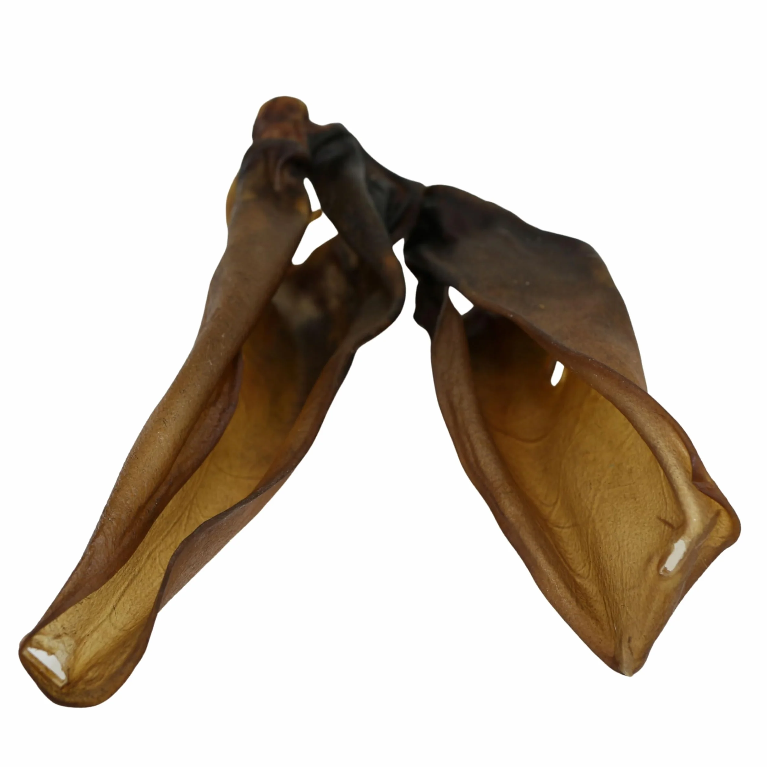 Oreilles de boeuf sans poils pour chiens 100% boeuf collations séchées sans céréales
