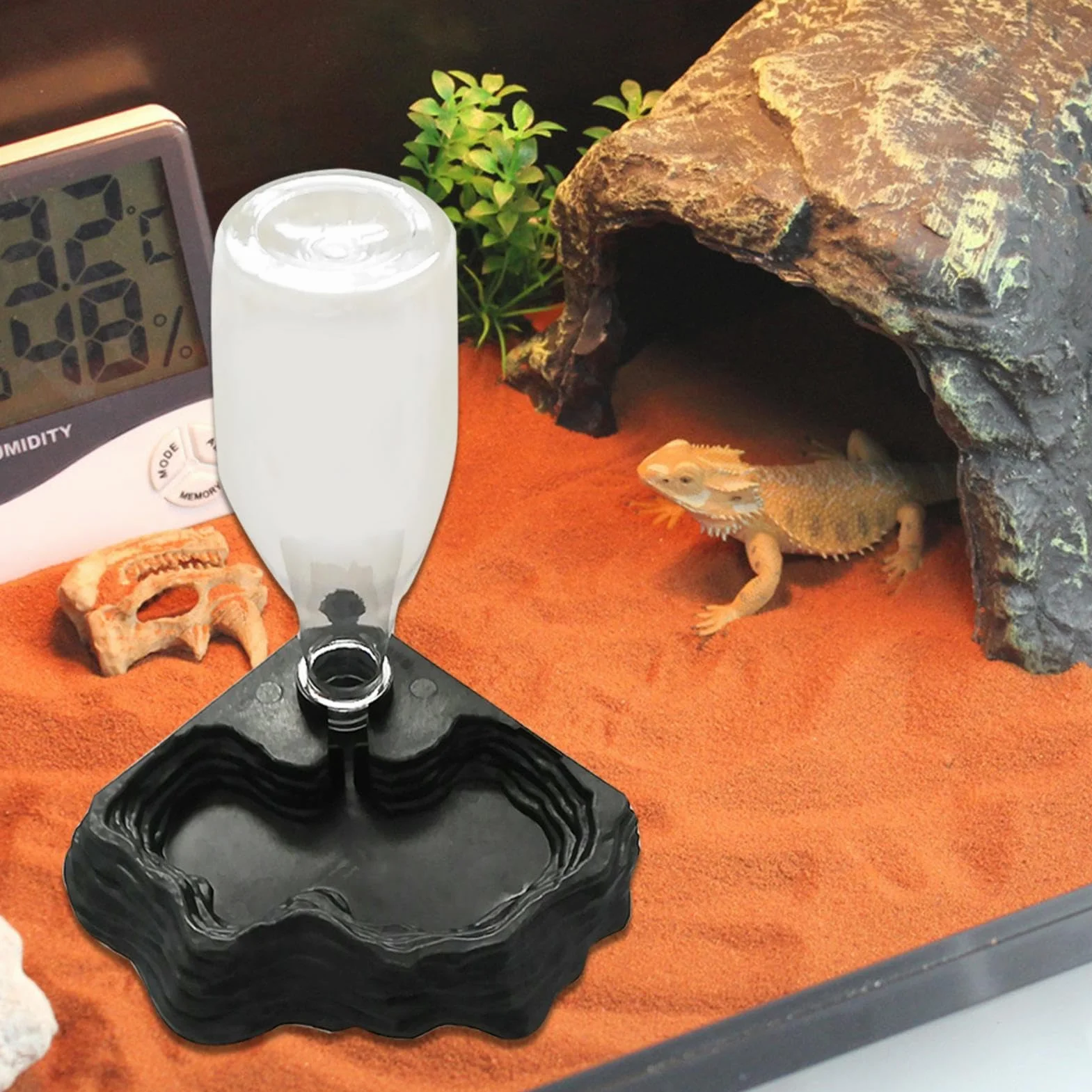 Distributeur d'eau pour Reptile, Abreuvoir Tortue, Bol Anti Debordement Plastique