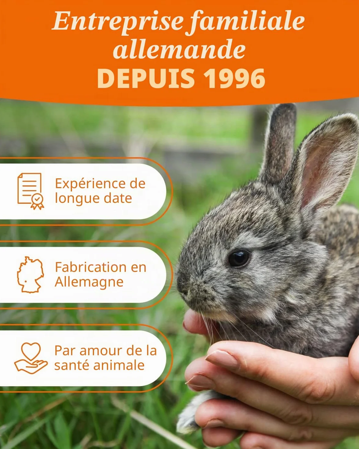 Petifool Aliments complémentaires pour rongeurs Mélange d'automne coloré 650 g