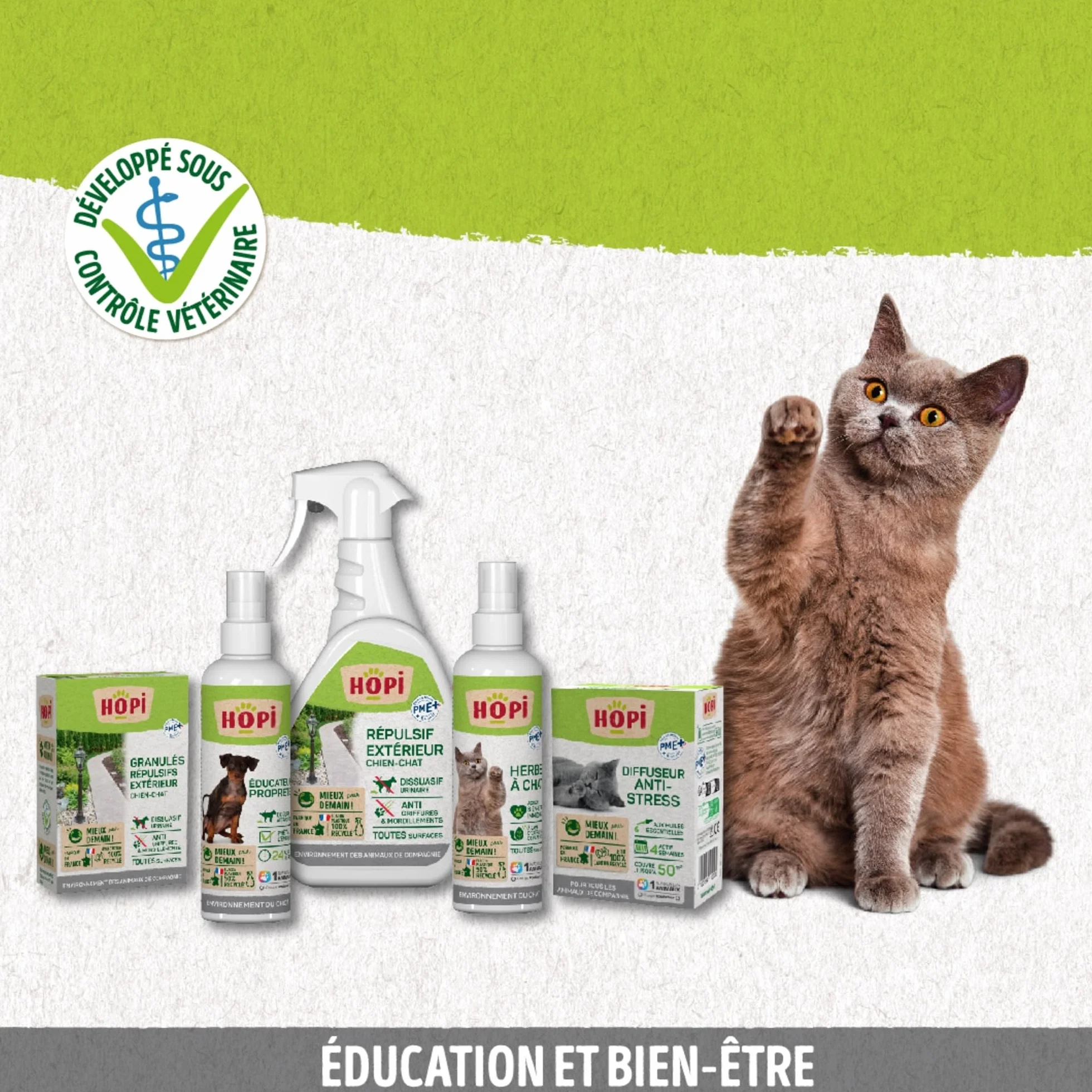 HOPI Spray herbe à Chat 200 ml - Extraits de Plantes - Stimule le Bien Être - Fabriqué en France