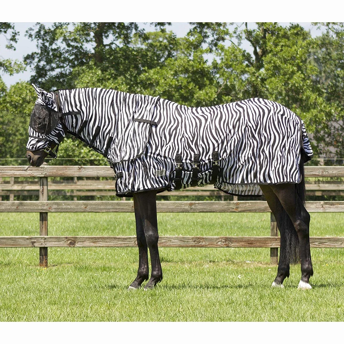 Couverture Anti Mouche QHP pour Cheval avec Couvre-Cou et Bonnet