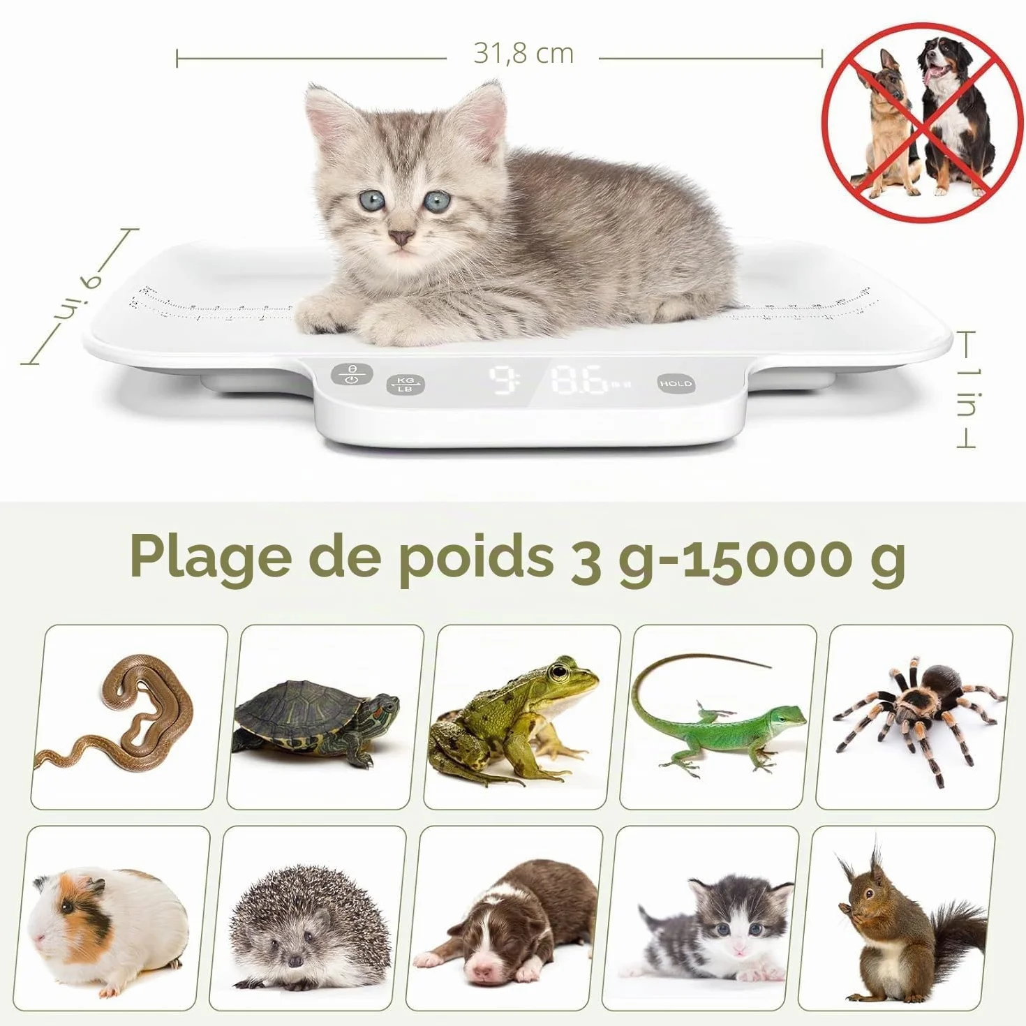 Balance pour chiots et petits animaux, précision 1 g, poids max. 15 kg