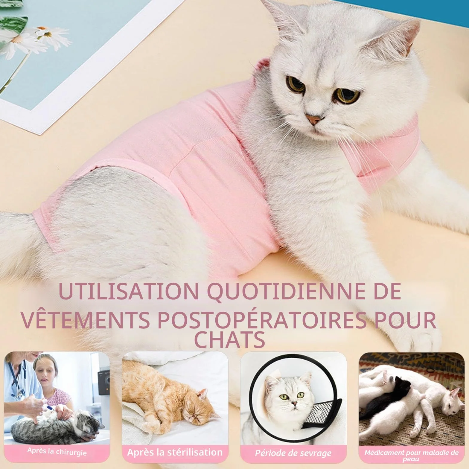 Gilet de Récupération pour Chat Anti Léchage Post-Opératoire, Stérilisation, Protection Post-Chirurgie - Rose + Bleu (M)