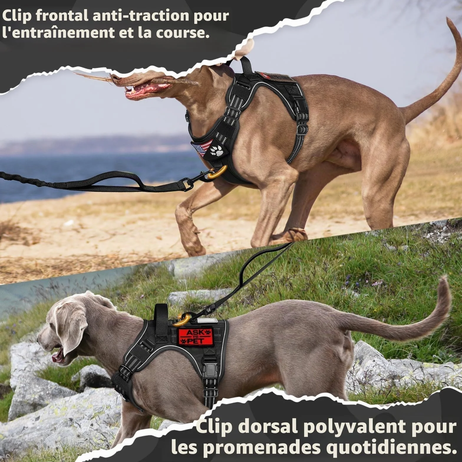 Rabbitgoo Harnais Chien Anti Traction Tactique Réfléchissant Réglable avec Poignée et Anneaux, Gilet Solide Facile à Mettre, Noir, L