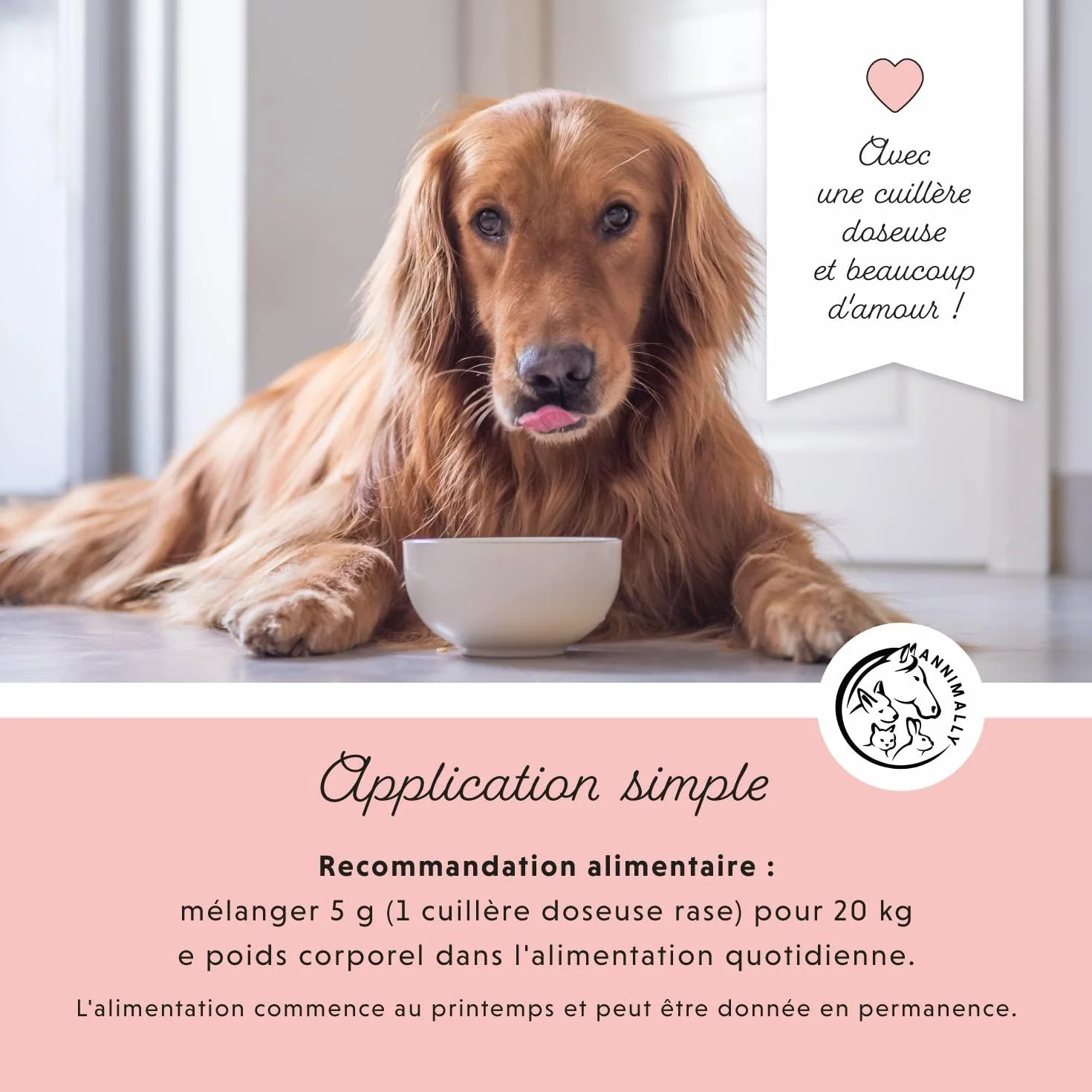 Annimally Adieu Tiques Poudre Chiens 400g Huile Cumin Noir Ciste Levure Bière Algues Marines Alternative Comprimés