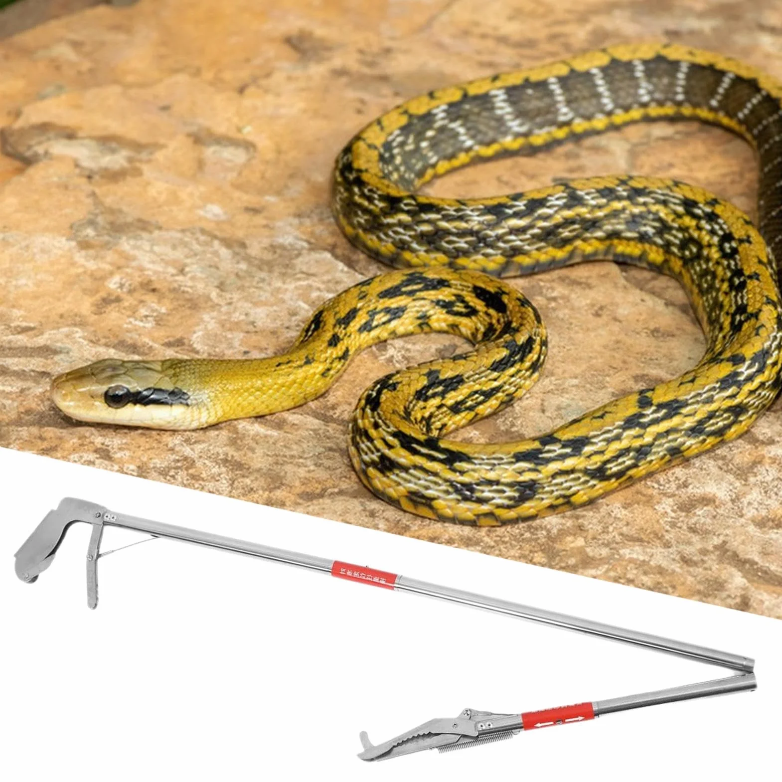 Pinces à serpent pliables en acier inoxydable pour attraper des crabes – Outil de récupération des déchets