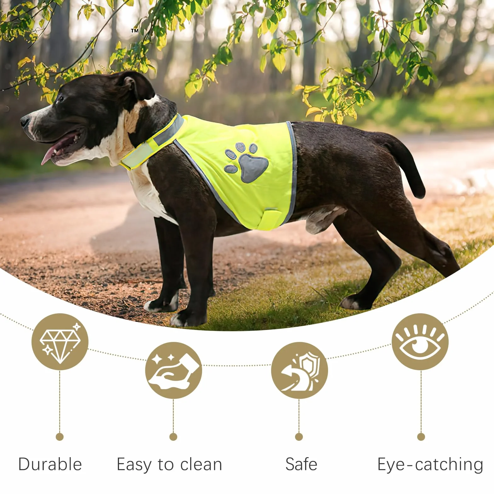 Gilet de Sécurité Réfléchissant pour Chien Haute Visibilité Taille M
