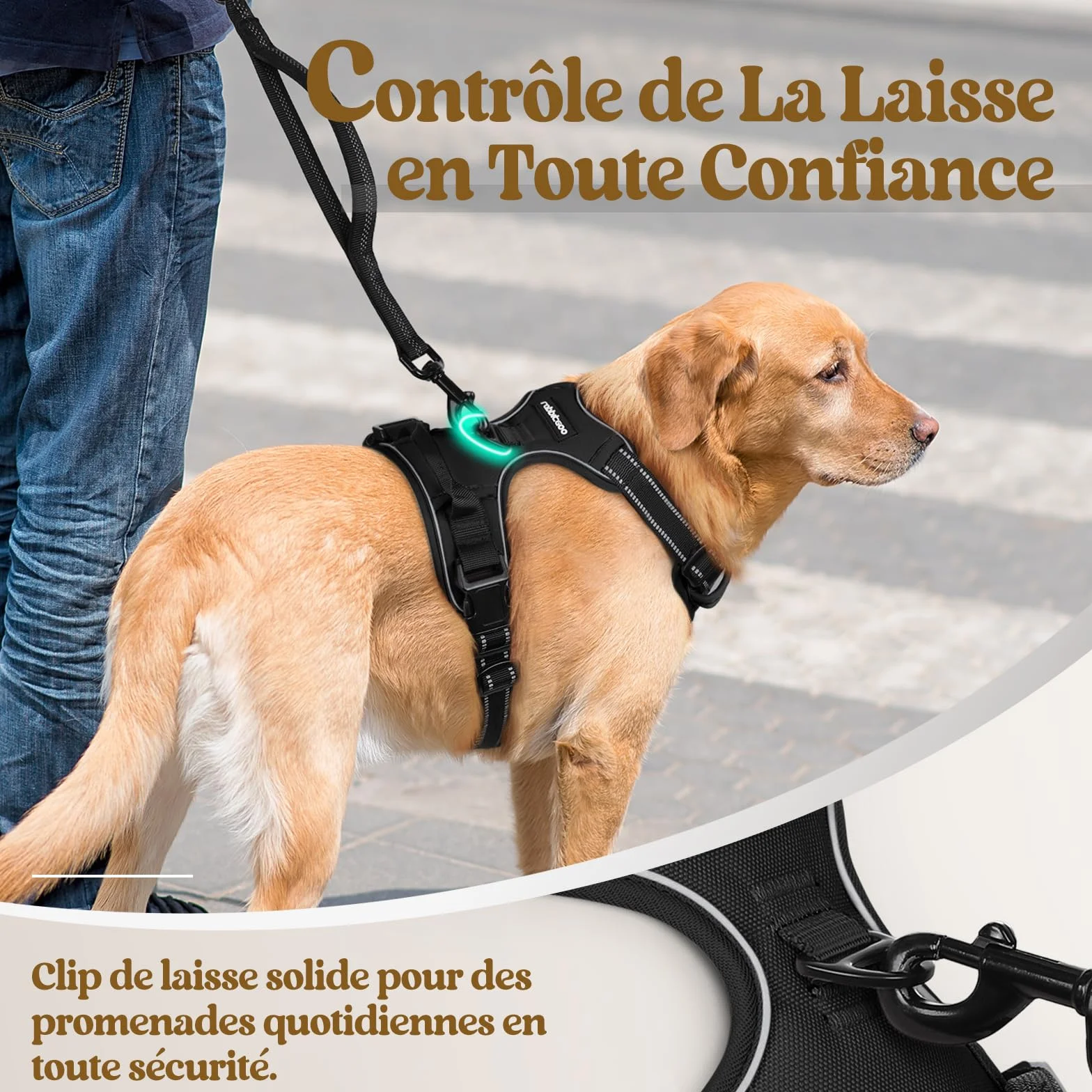 Rabbitgoo Harnais Chien Anti Traction avec Poignée Contrôle, Gilet Réfléchissant Réglable Attache Devant, L Noir