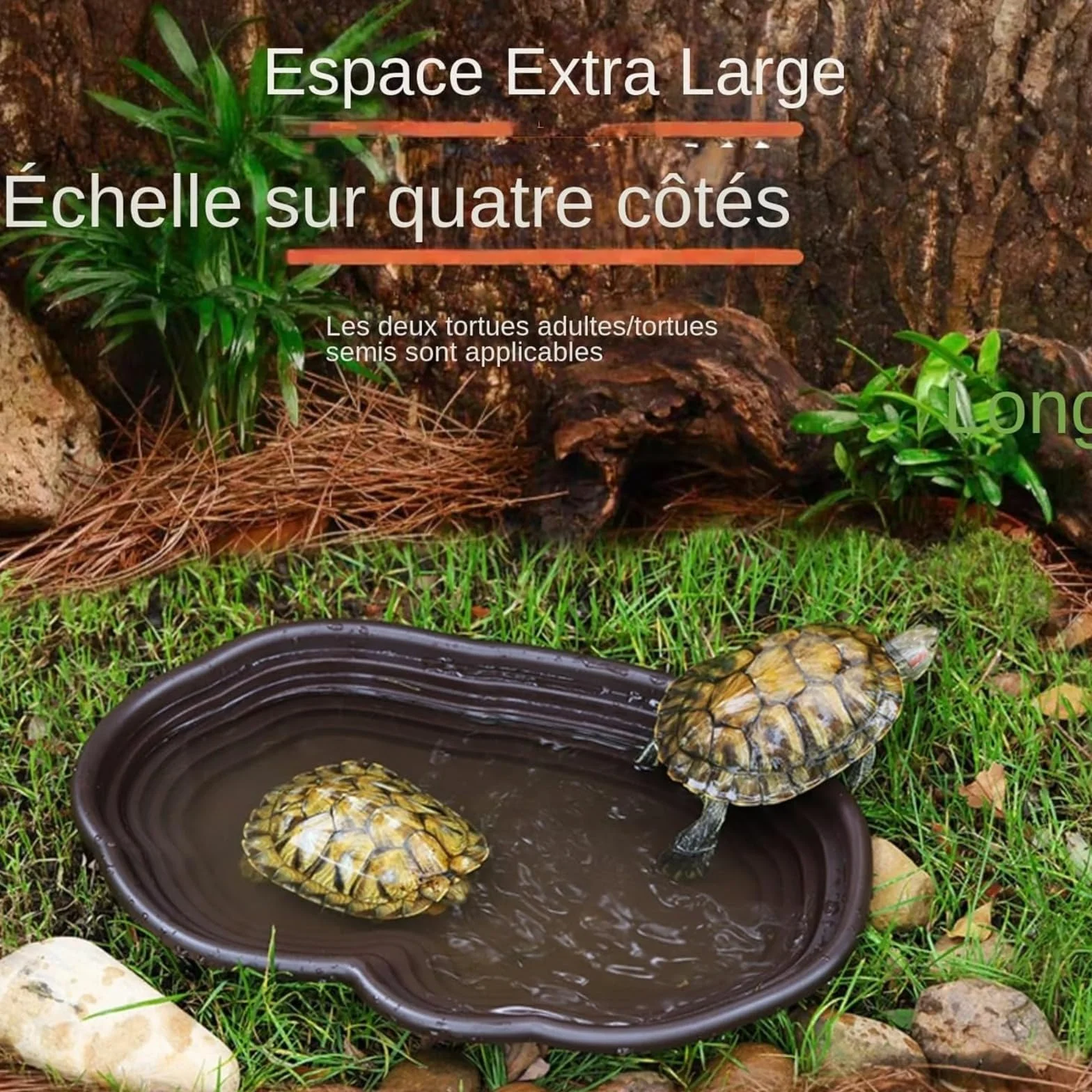 Plat d'eau Tortue pour Reptiles avec Rampe et Plate-Forme, Bol d'alimentation