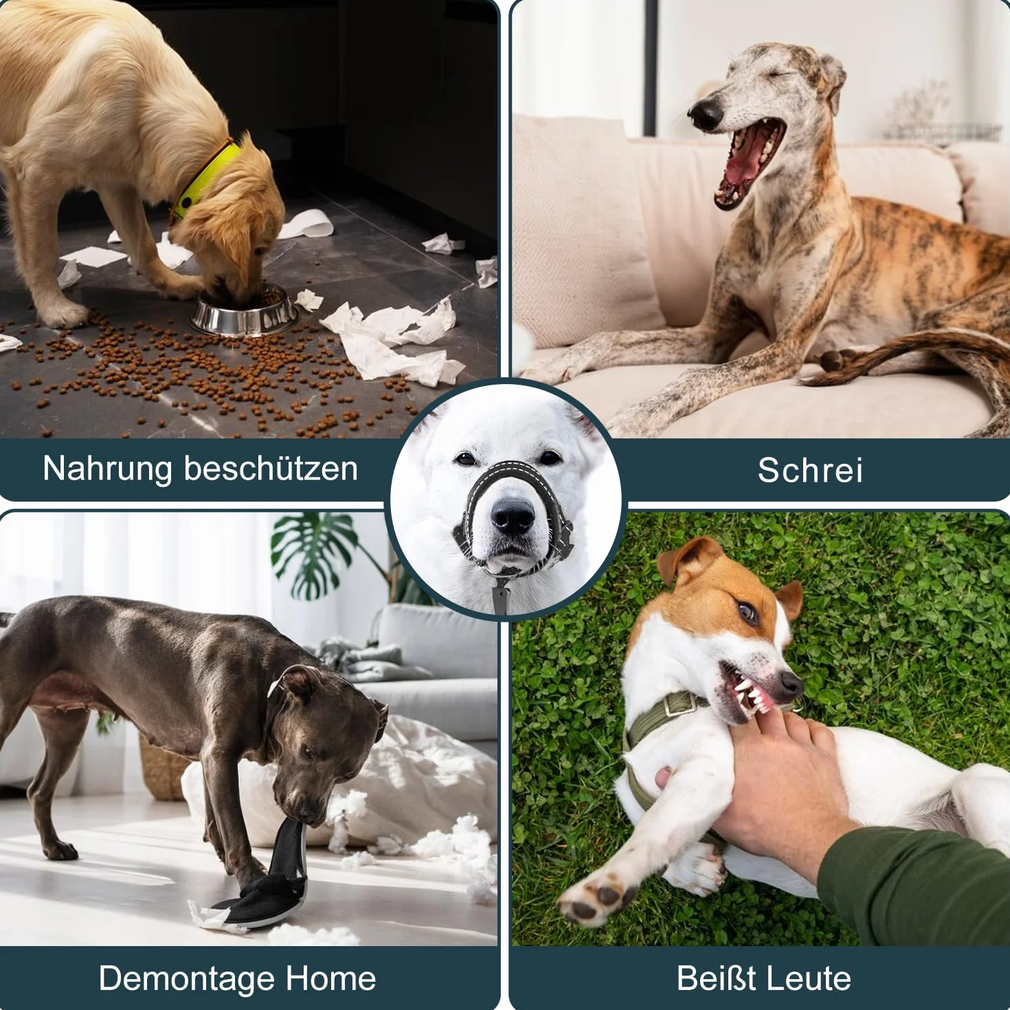 Voarge Harnais de dressage pour chien, muselière pour animaux de compagnie, facile à installer, léger, avec sangle de nez rembourrée, protège-dents pour chien, support d'entraînement pour éviter les