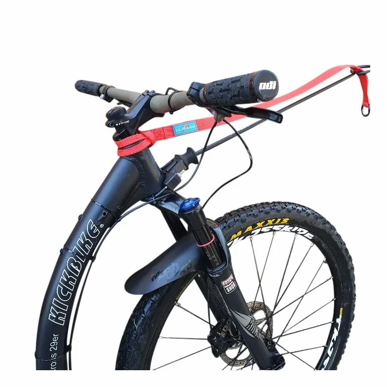 Inlandsis Bikejor Extension