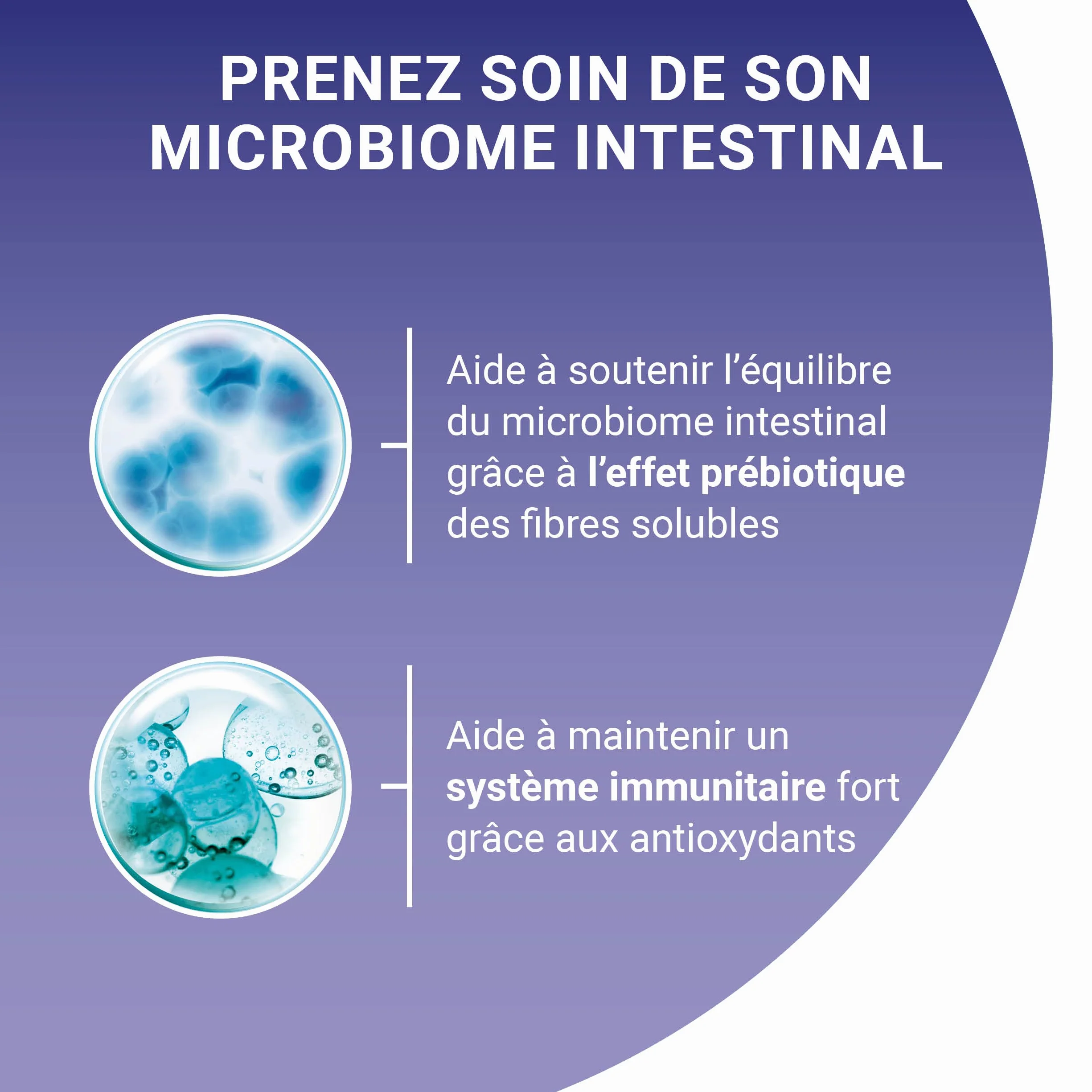 PURINA ONE BIFENSIS Chat Adulte Poulet Boeuf Effilés en Sauce Sachets Fraîcheur Lot de 12 (4 x 85g)