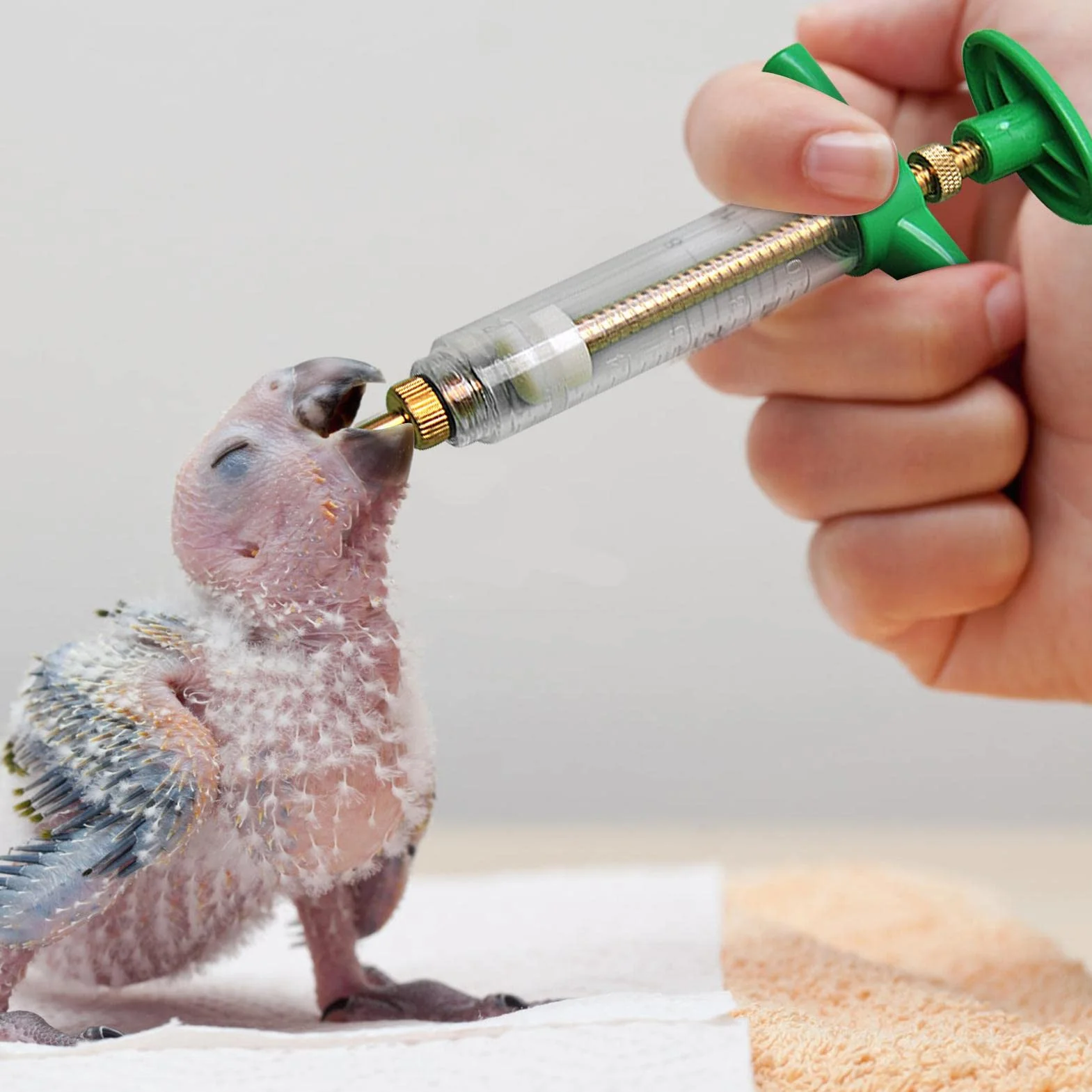 LOSOO Seringue d'alimentation pour oiseaux malades - Tubes d'injecteur