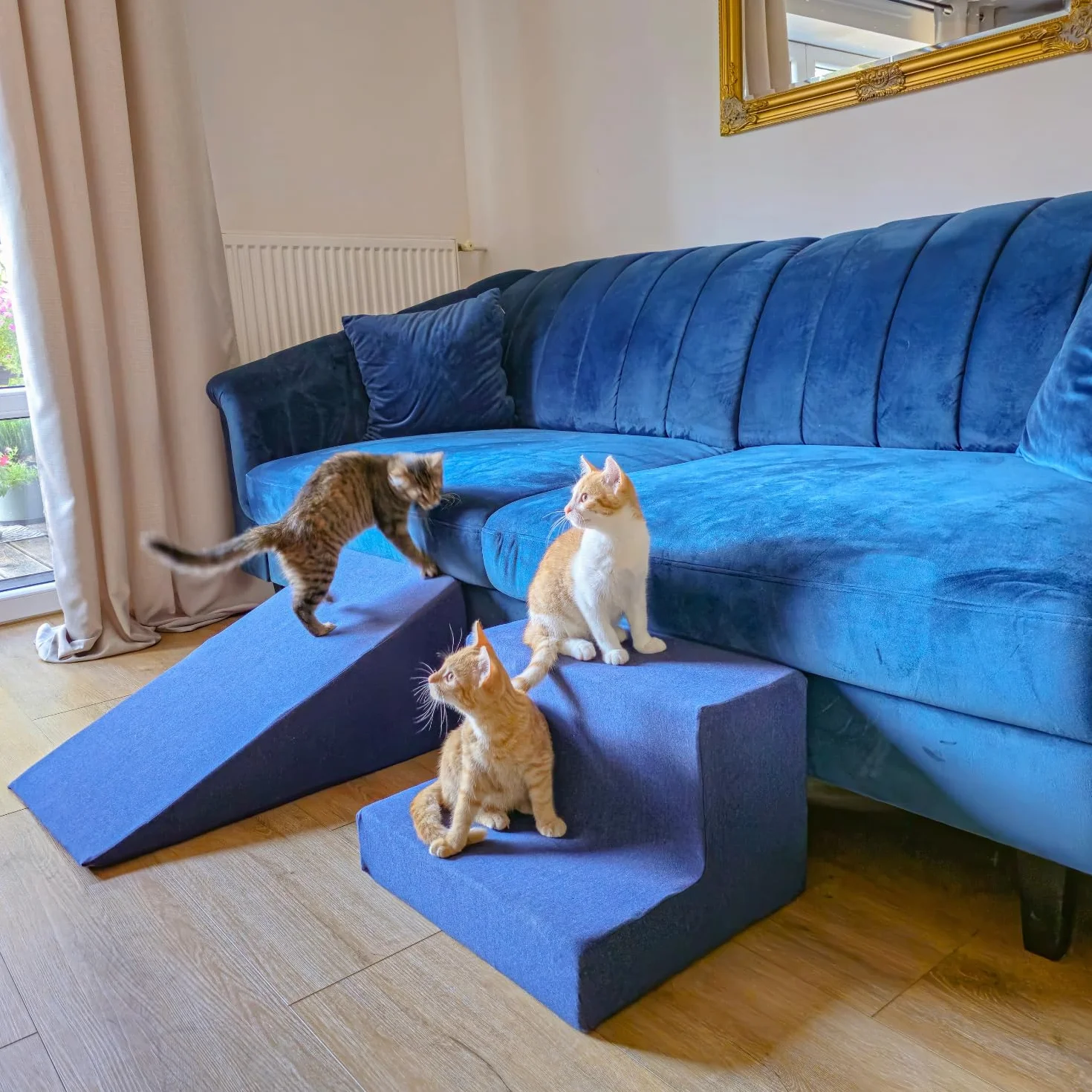 Rampe pour Chien et Chat Animaux Canapé Lit Housse Amovible Bleu Foncé