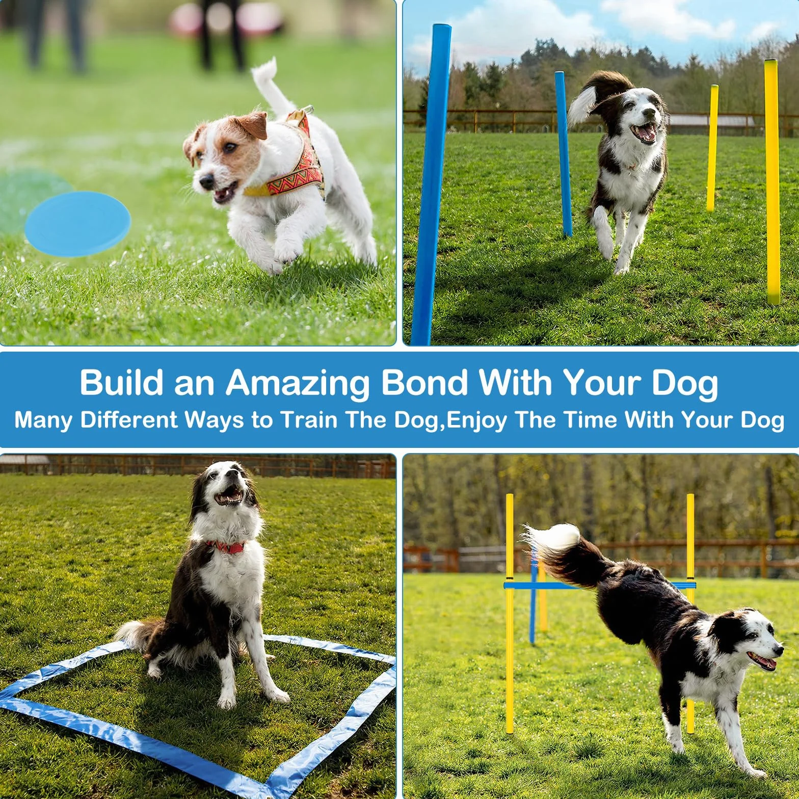 Kit Agility pour Chien Équipement Parcours Obstacle Anneau Tunnel Haies Slalom