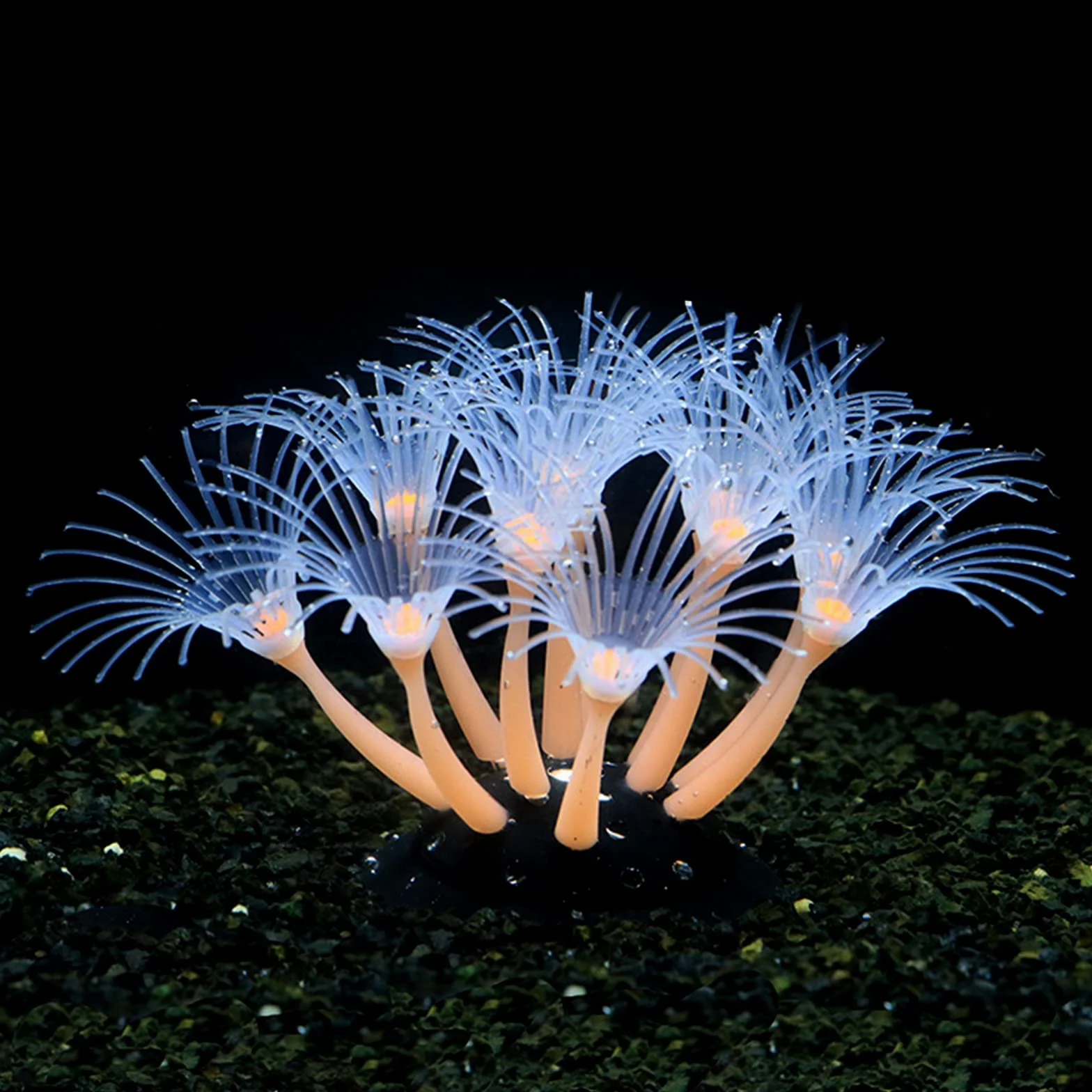 Corail artificiel lumineux en silicone pour aquarium, phosphorescent