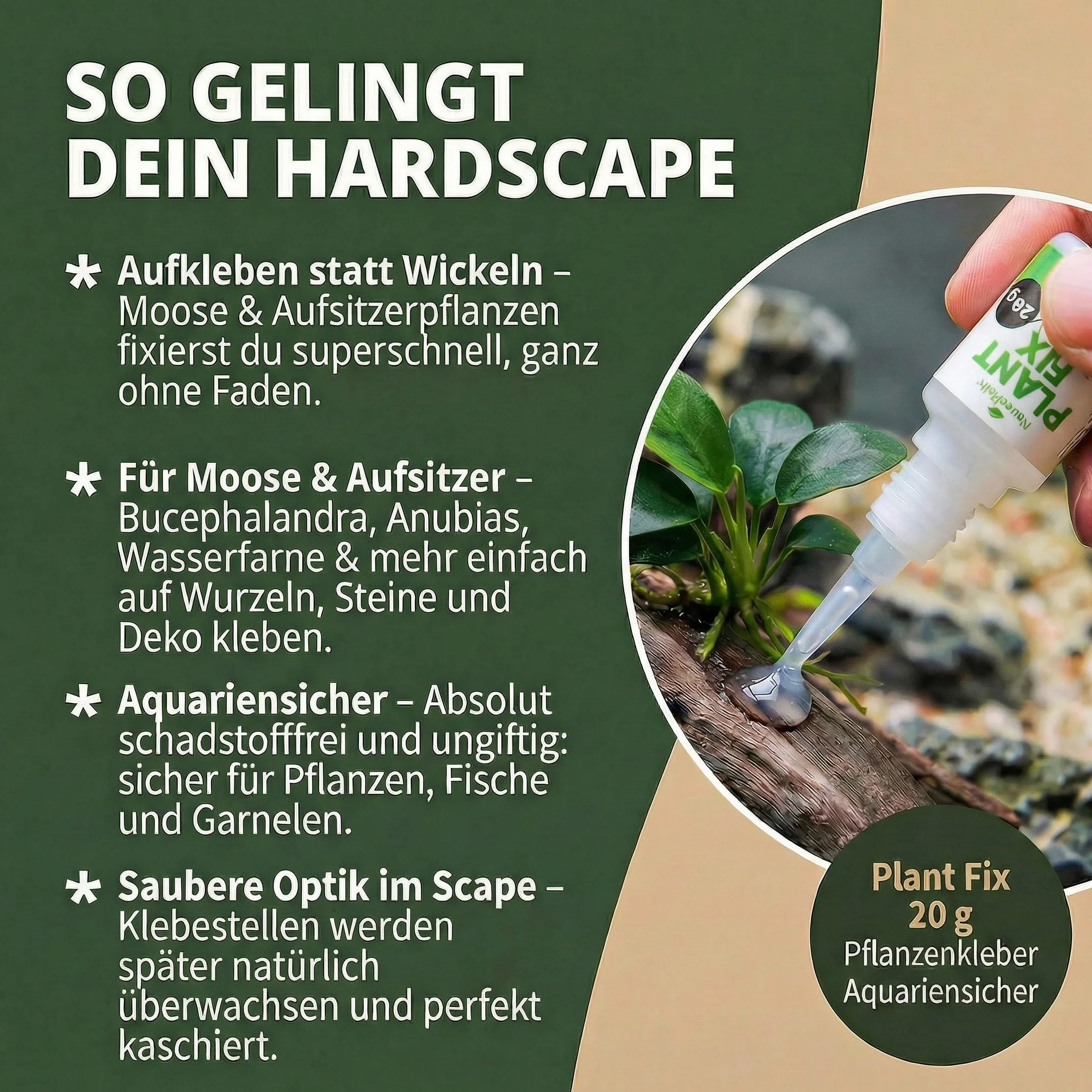 NatureHolic Colle pour Plantes 20g Non Toxique