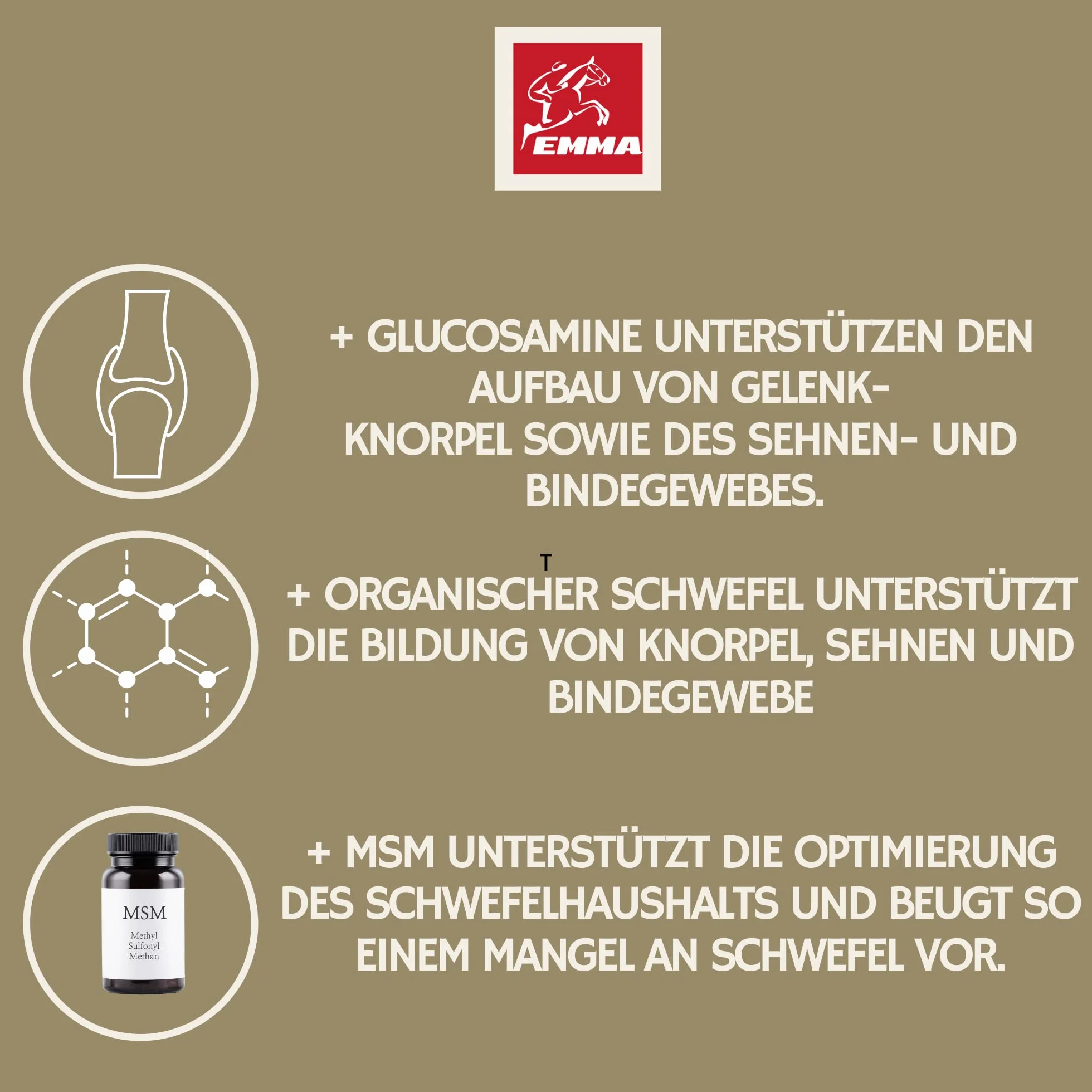 Cheval 1L Liquid Glucosamine & Chondroïtine Haute Dose avec MSM Complexe articulaire