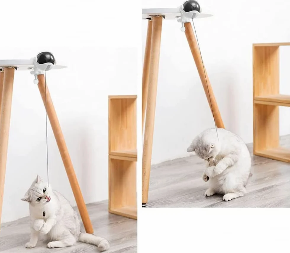 Jouet pour chat interactif GANDUNQIjouet pour chat | jouet de levage Yo-Yo | ballon rotatif électrique à levage automatique | jouets drôles pour animaux de compagnie | rose/blanc (sans batterie)-white