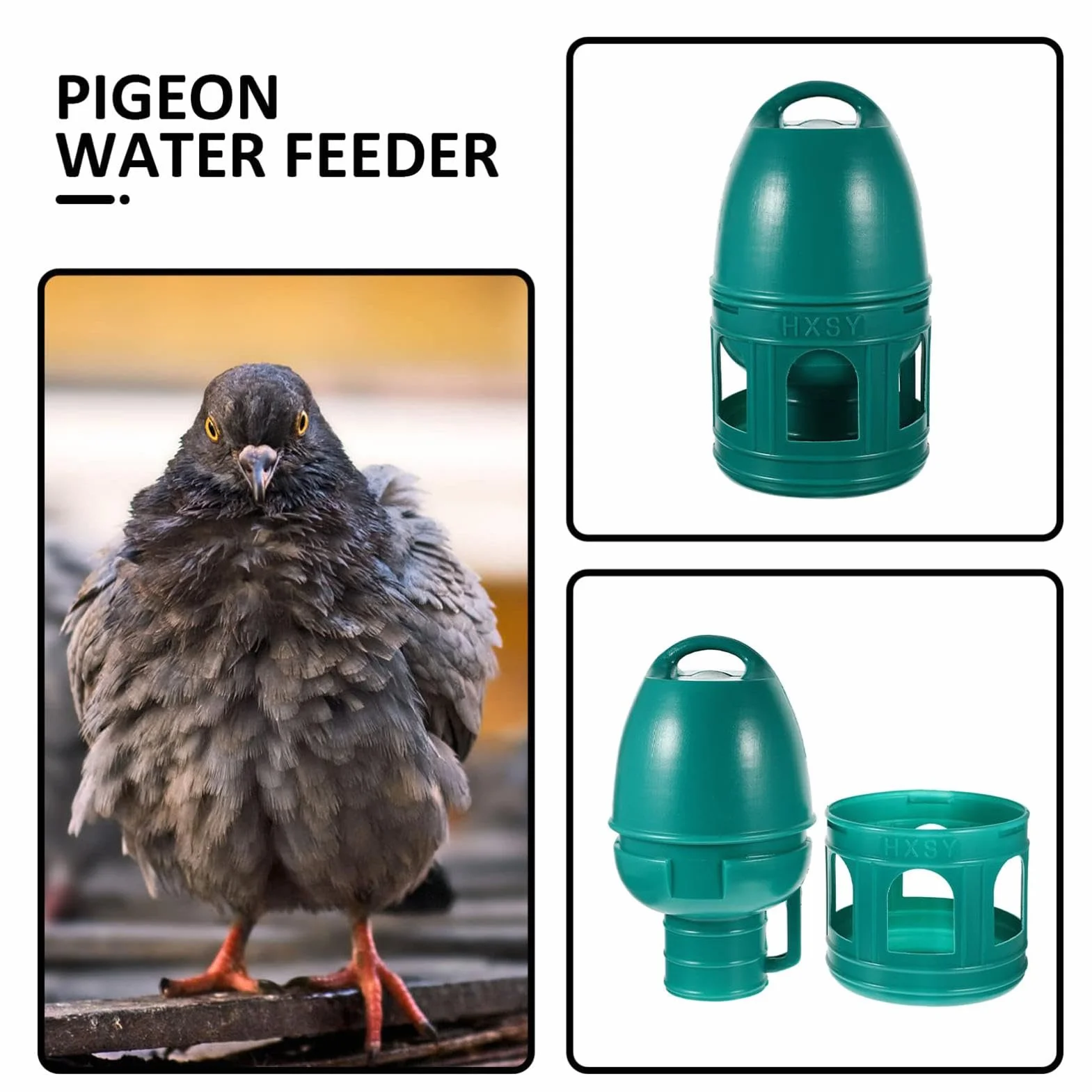 Abreuvoir pour Pigeons et Volailles - Capacité 3/5 L - Distributeur d'Eau avec Poignée de Transport