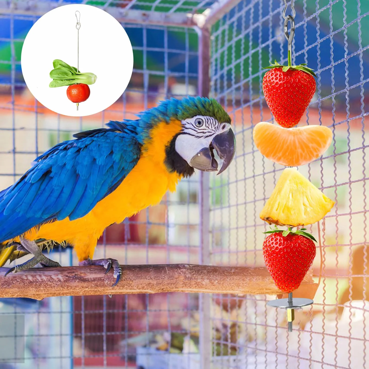 Porte Brochettes de Fruits Acier Inoxydable 2 PCS pour Perroquets Cage d'oiseaux