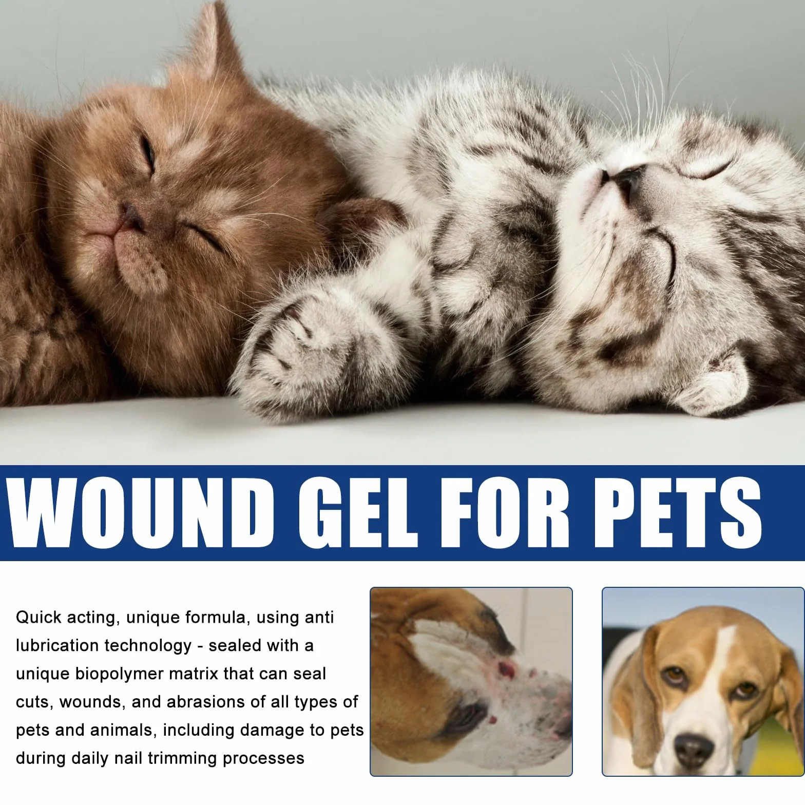 Gel Apaisant pour Plaies Chats Chiens Nettoyage Soin Cicatrisation Animaux
