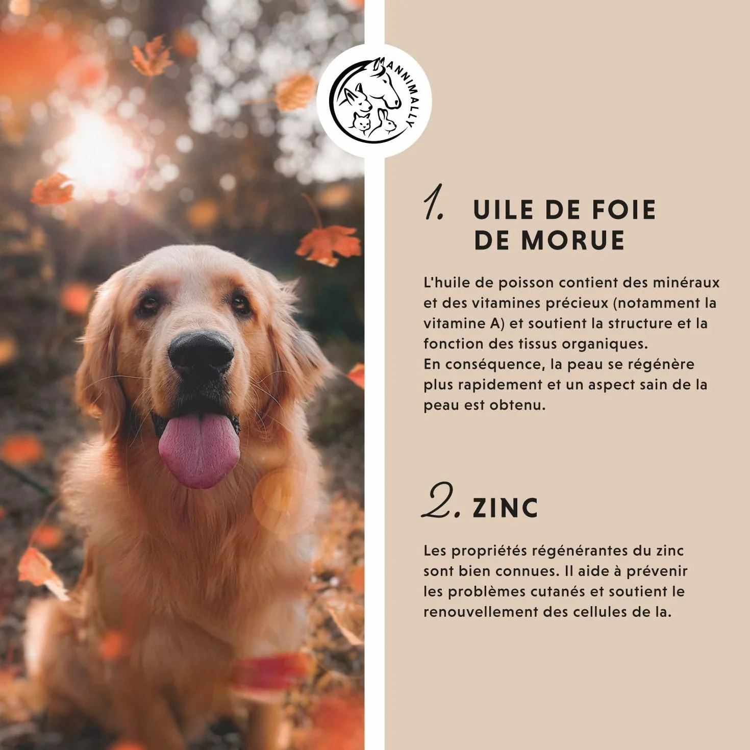 Pommade au Foie de morue et au Zinc pour Chiens 50g - Baume pour blessures, eczéma et escarres