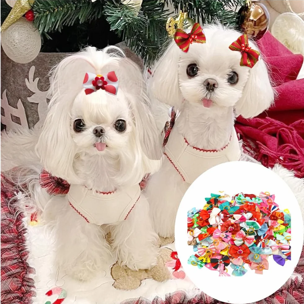 Nœuds pour chiens avec élastiques, Lot de 30, Styles d'arcs Multiples, Accessoires de Toilettage