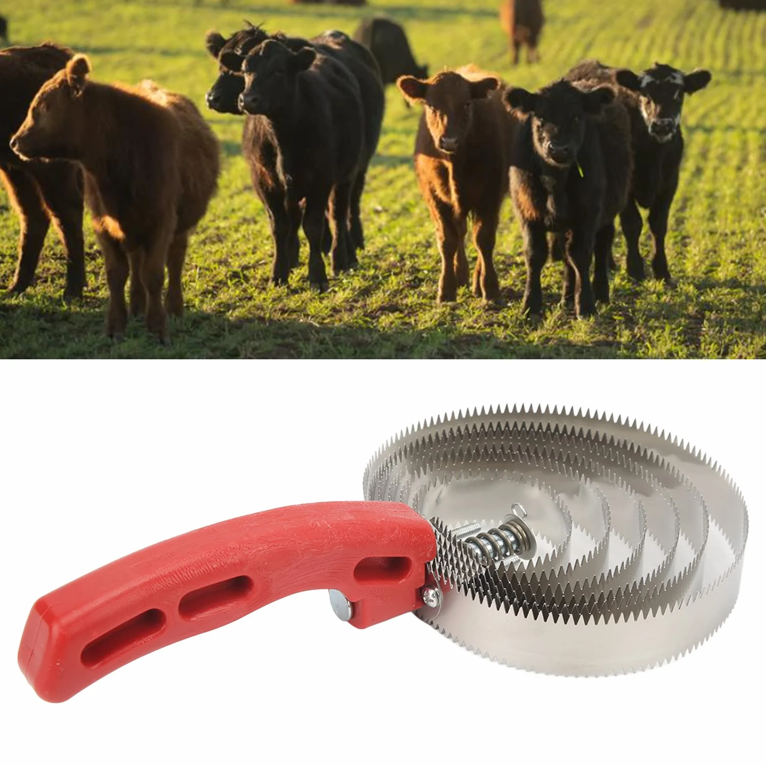 Curry Comb Peigne en Acier Inoxydable pour Chevaux, améliore l'expérience de Modification du rajeunissement des bovins, Un Traitement Doux, pour Les Animaux et Les Animaux, Moutons et bœuf