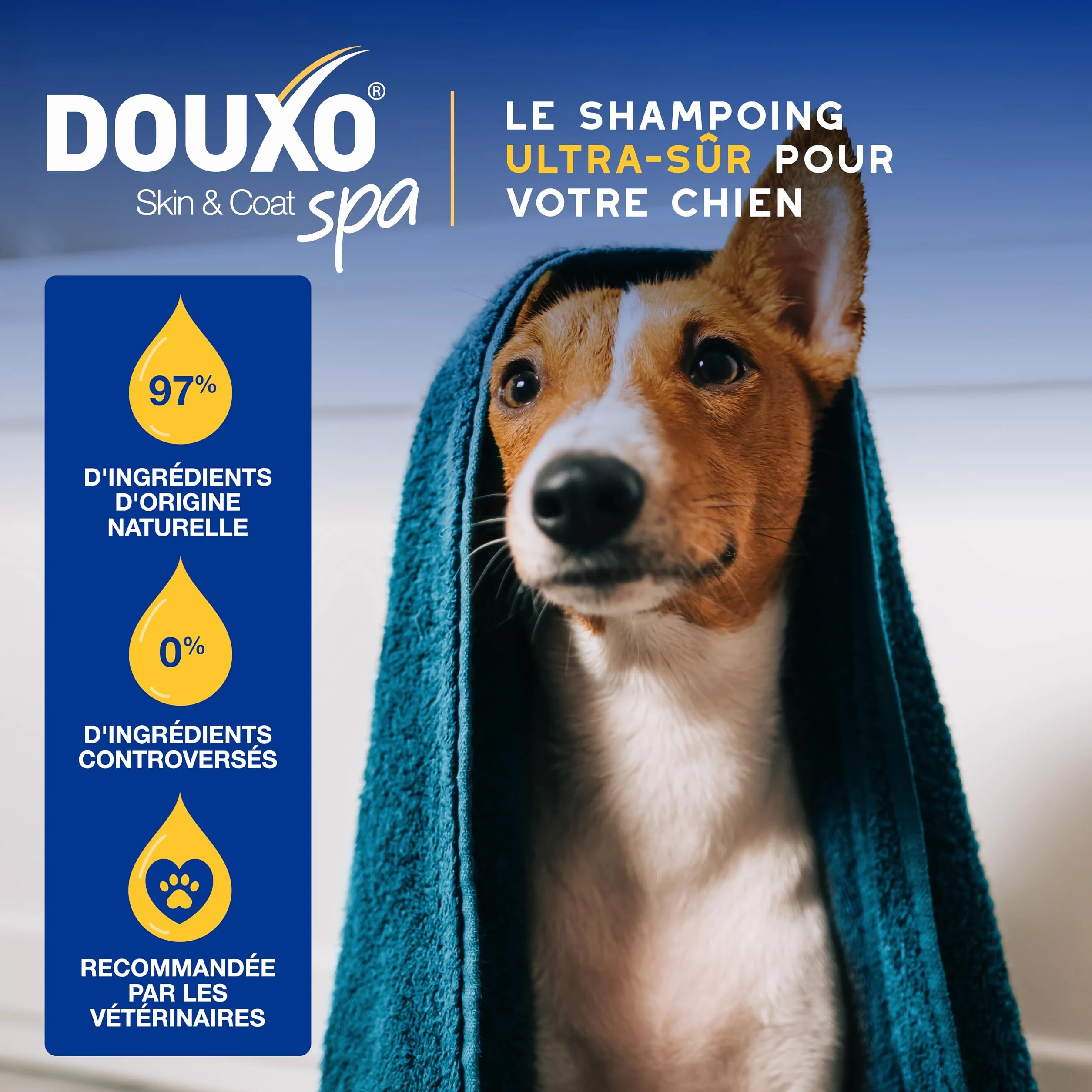 DOUXO Skin & Coat Spa - Ultra-Safe Shampoing hydratant pour Chien, 250mL, Nettoie et Hydrate la Peau Profondeur, Laisse Le Pelage Doux et éclatant, Formule respectueuse de la Peau.
