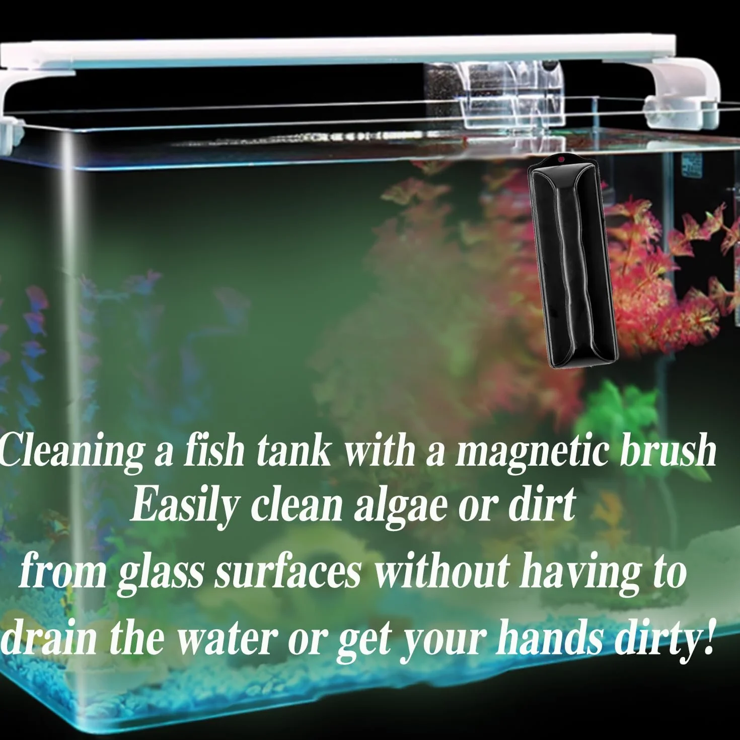 Nettoyeur de vitre magnétique pour aquarium Verre Brosse ≤10 mm