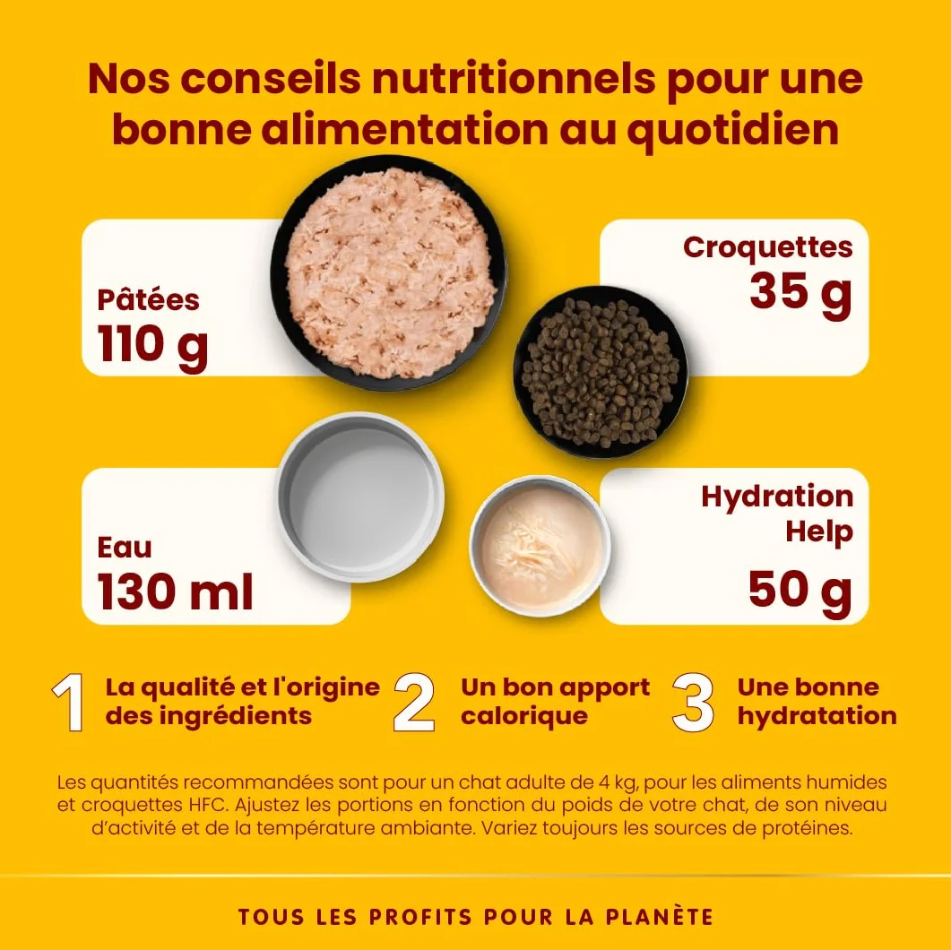 Almo Nature HFC Hydration Help Aliment Humide pour Chats Bouillon de Thon et Filet de Thon sans Gluten Monoprotéique 50g Pack de 24 1,2 kg