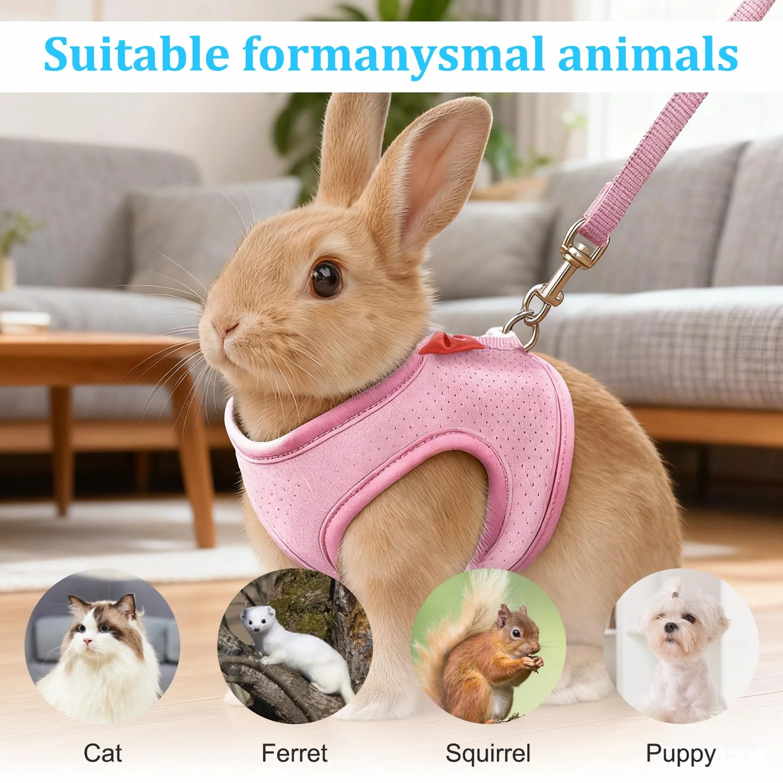 Harnais et laisse pour lapin anti-fuite réglable taille S