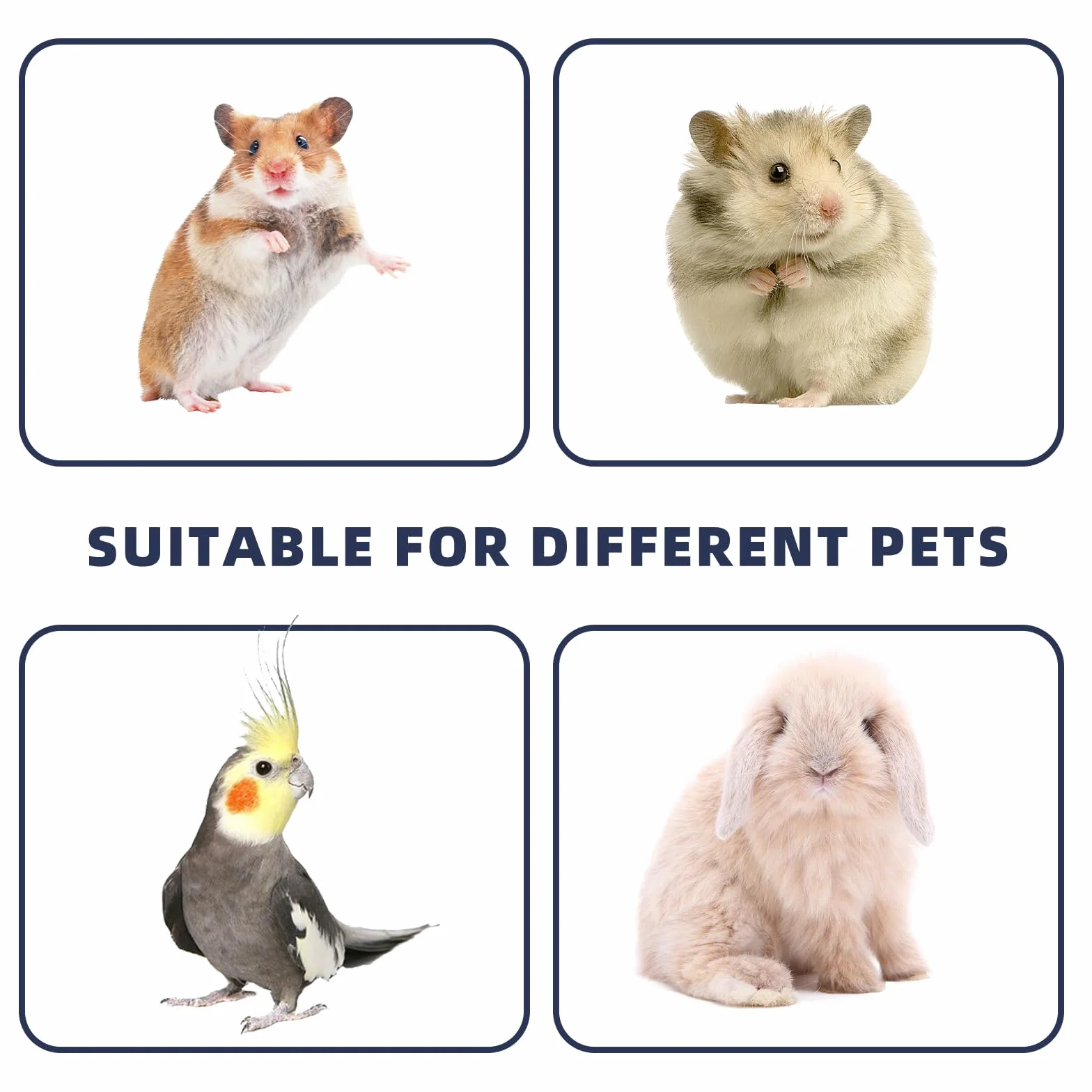 Pliable Sac de Transport pour Hamster 30x25x25 cm Chat Chien Lapin
